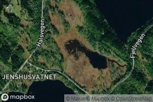 Pungen