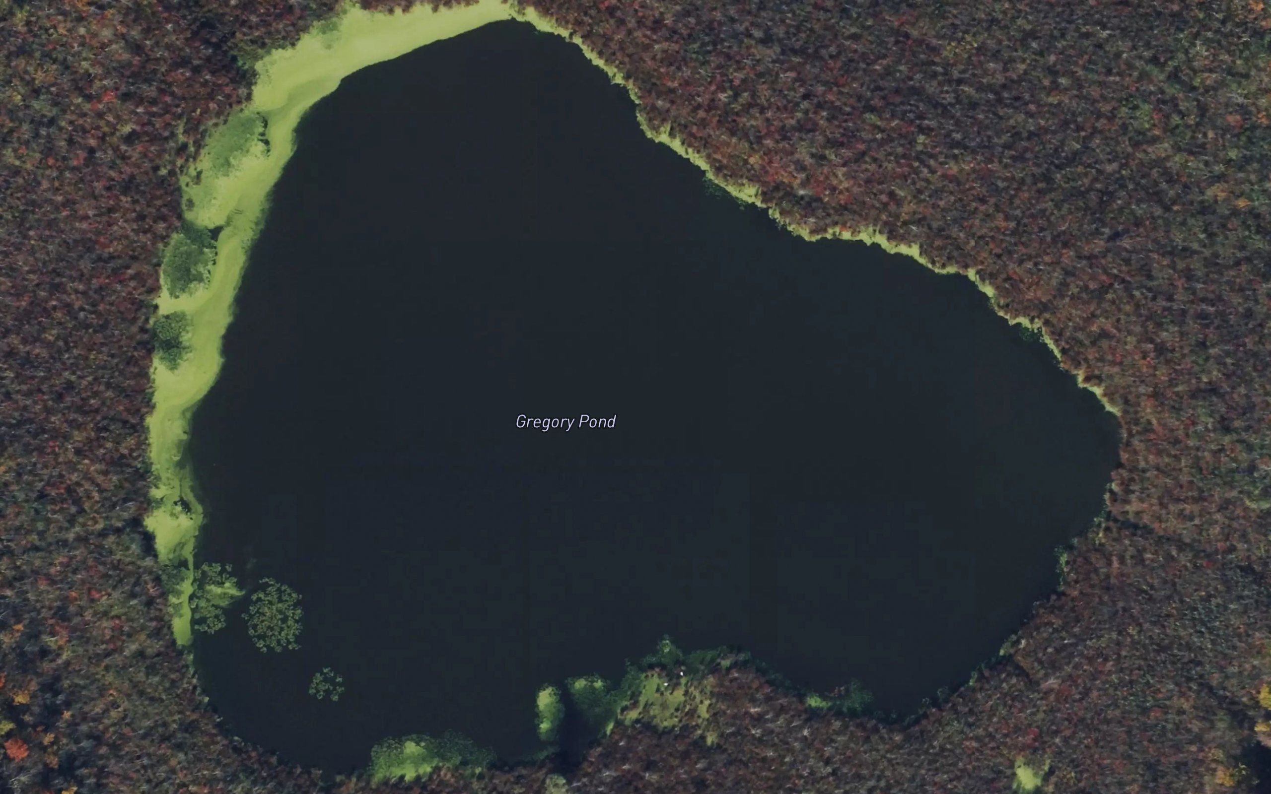 Gregory Pond