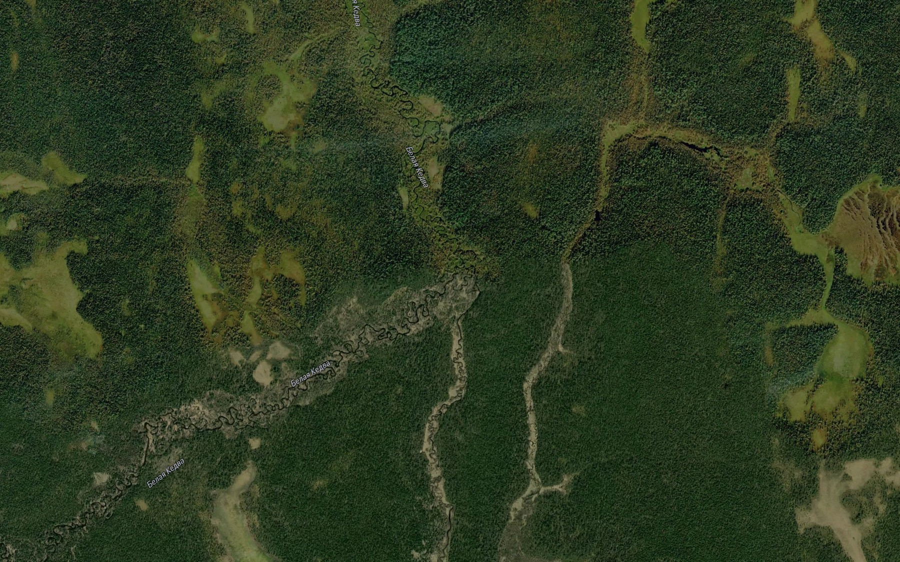 Satellite map of the Belaya Kedva