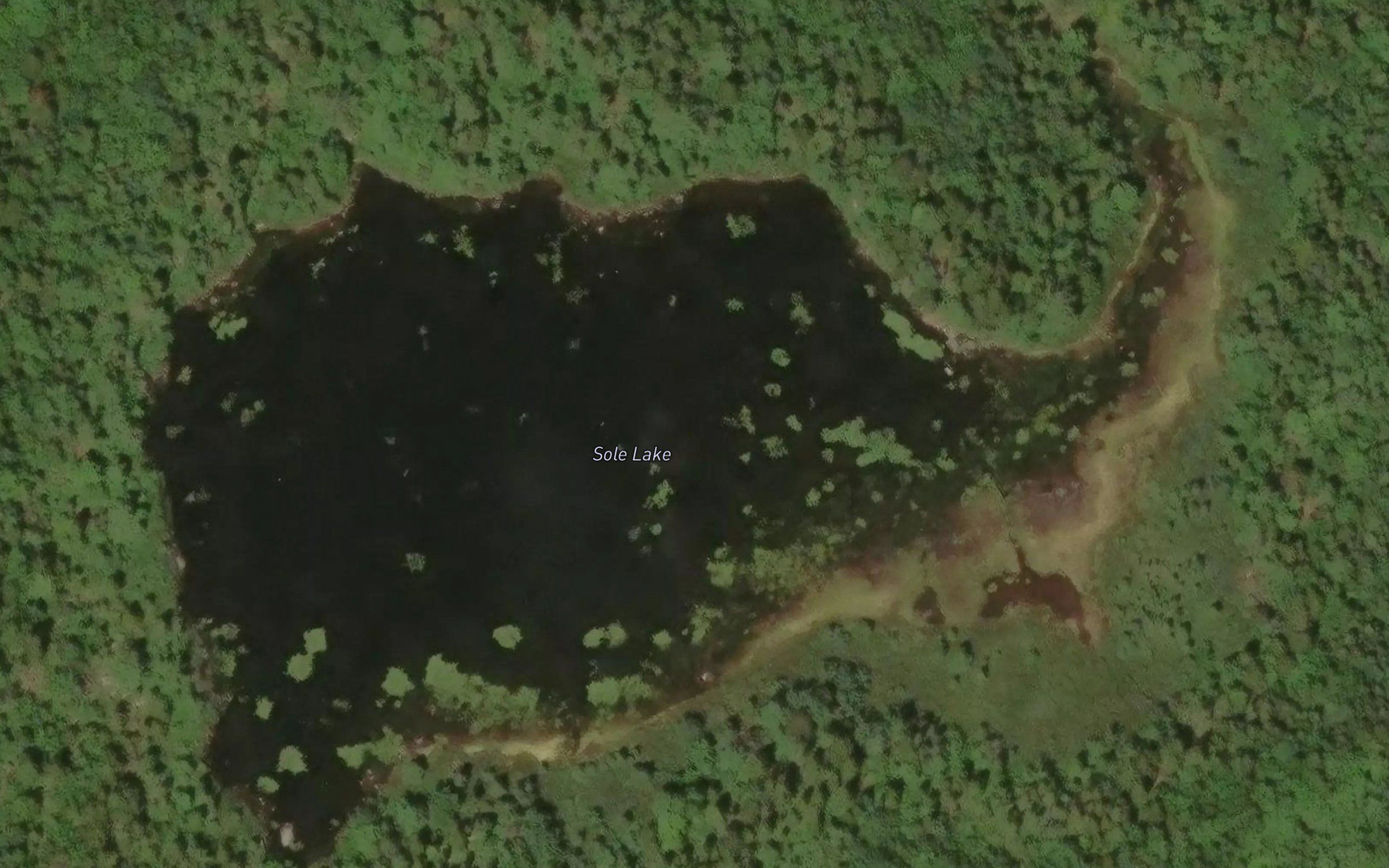 Sole Lake