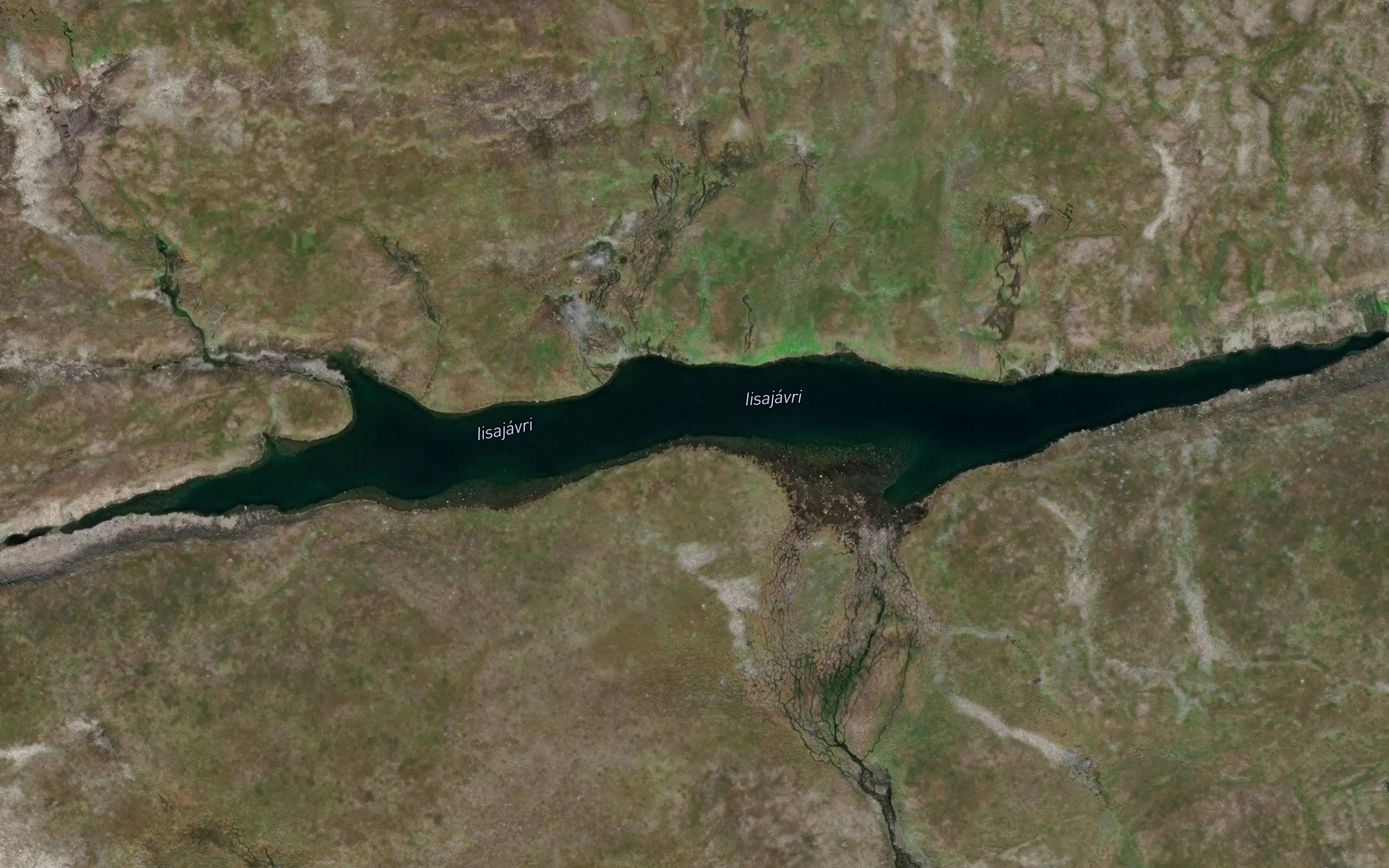 Iisajavri