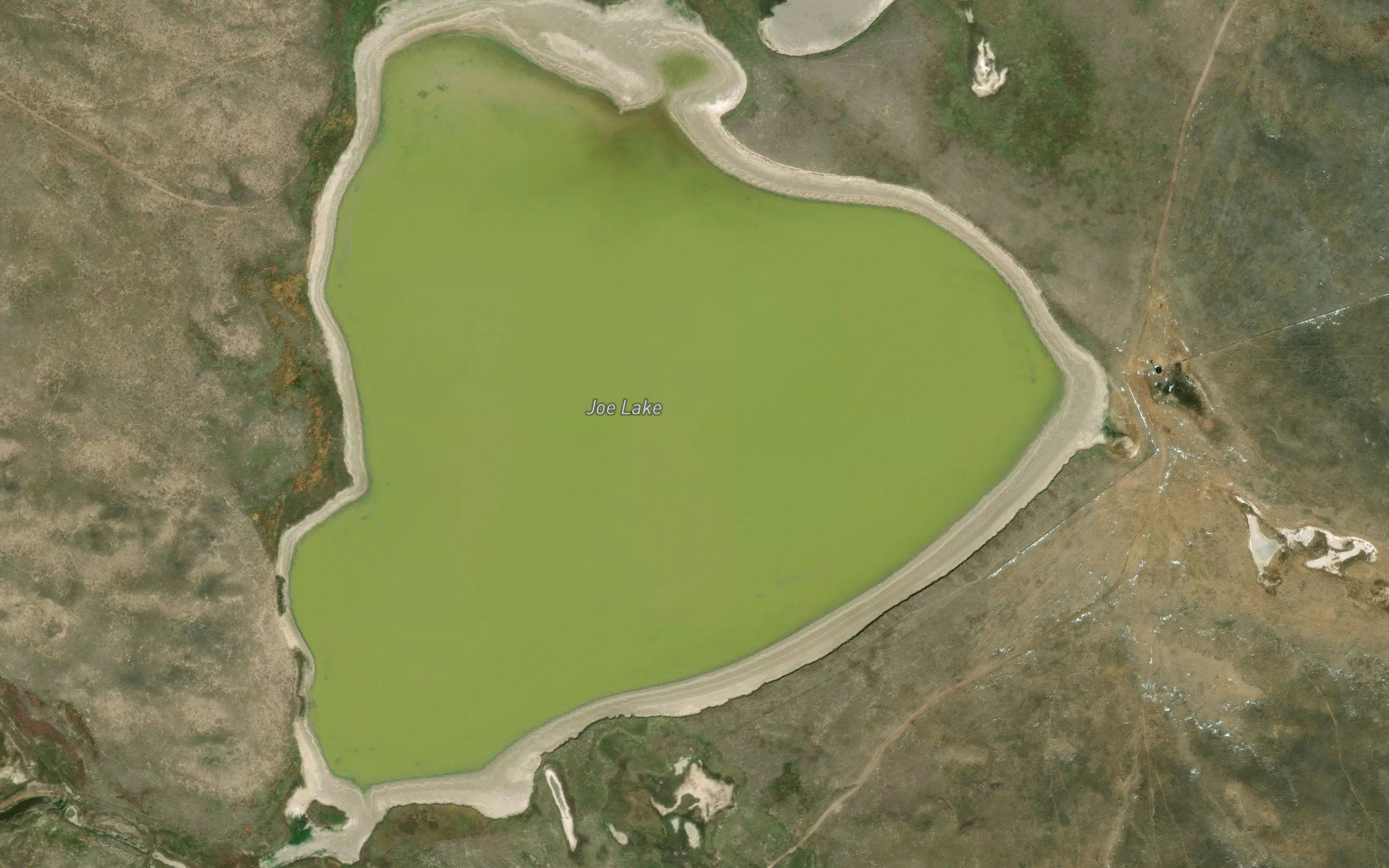 Joe Lake