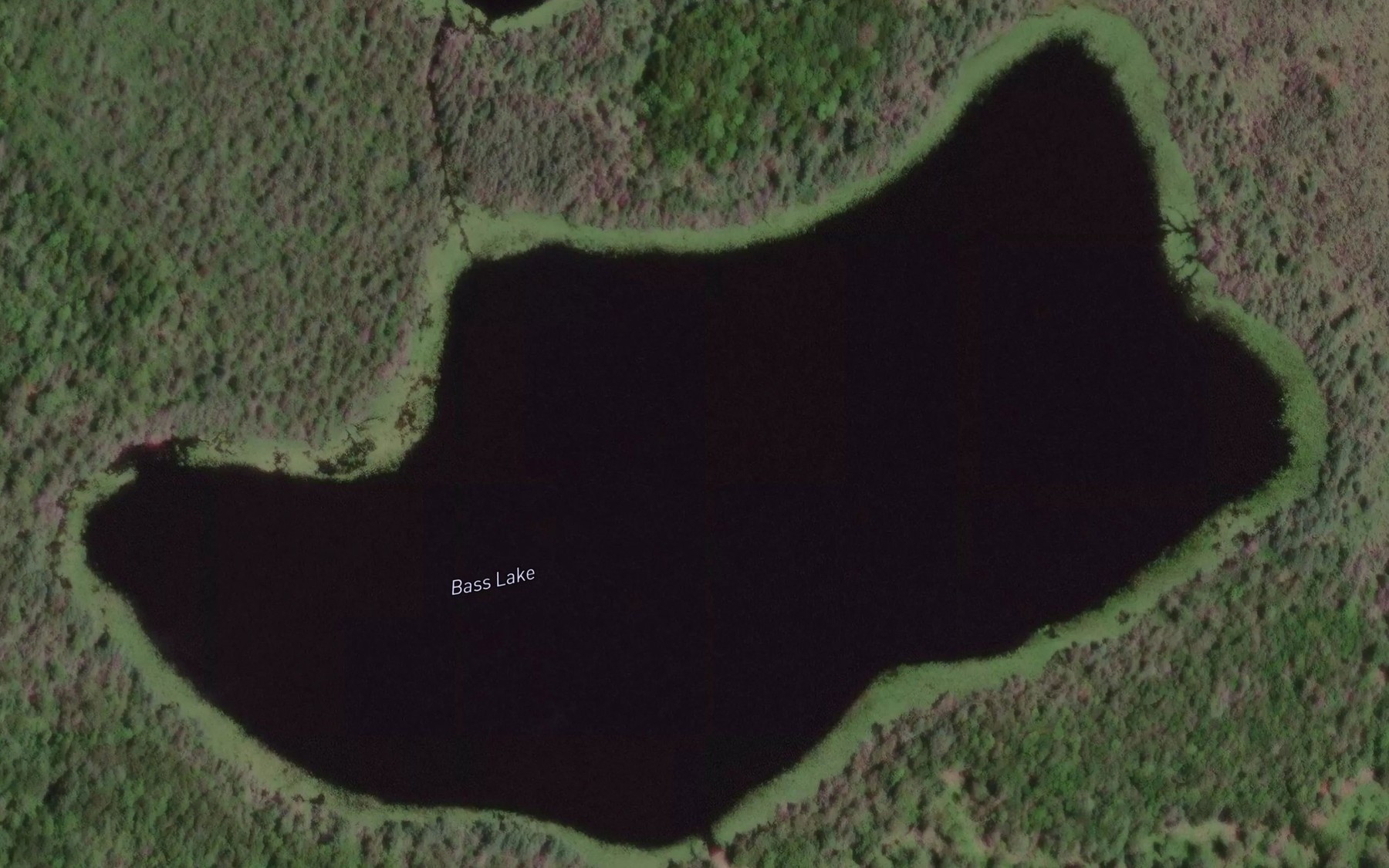 Satellite map of the Bass Lake