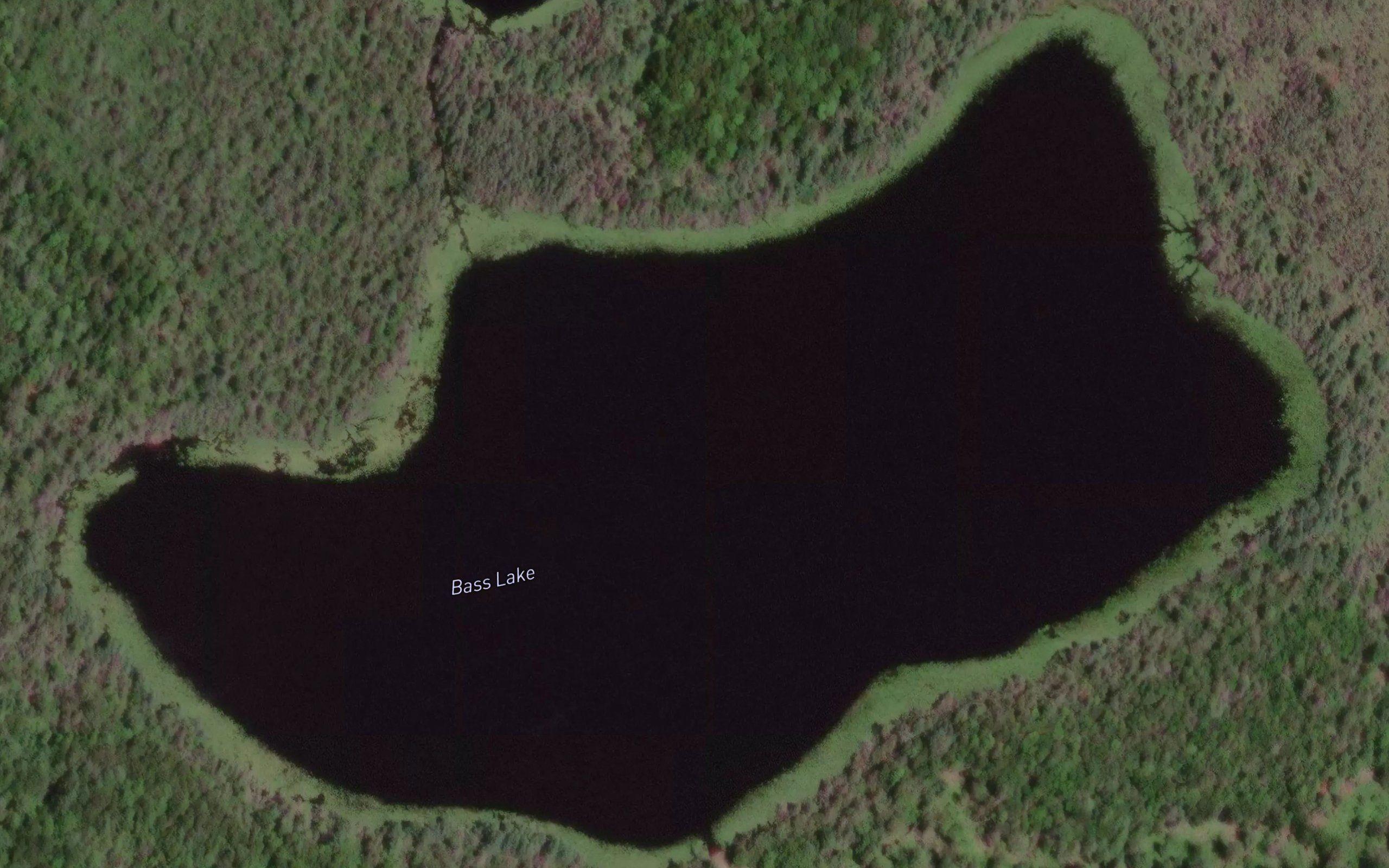 Bass Lake