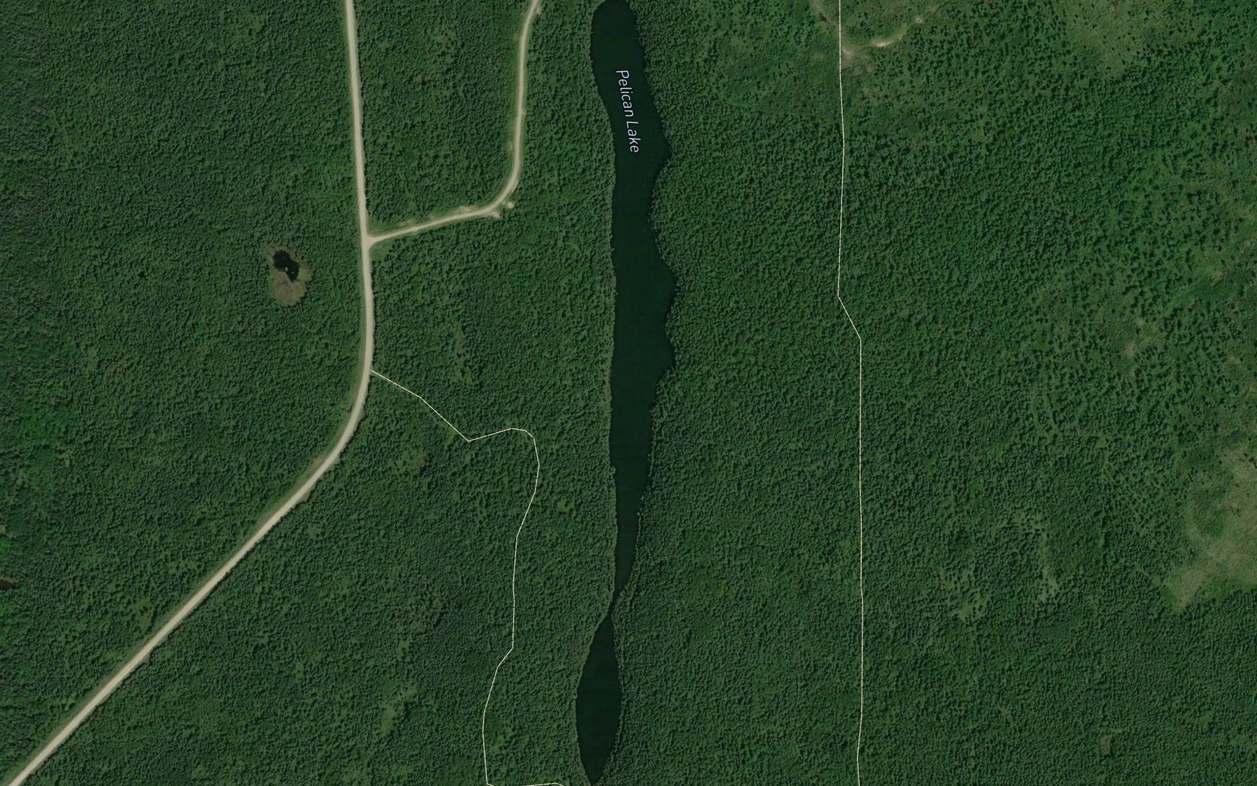 Satellite map of the Pelican Lake