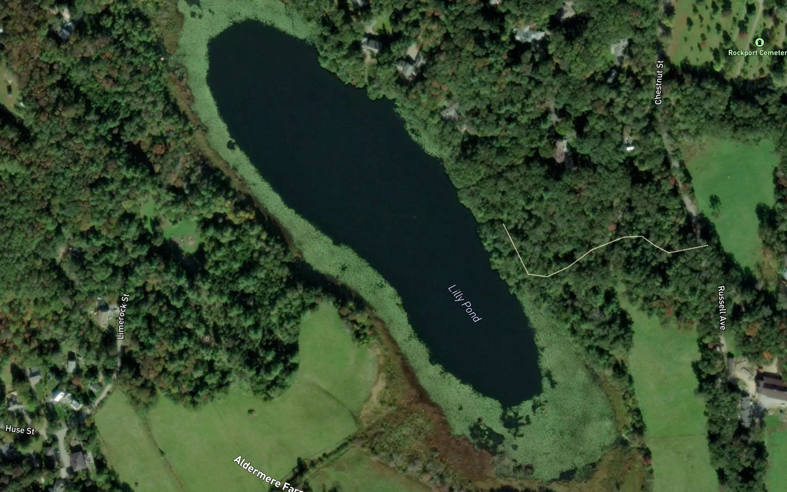 Lilly Pond