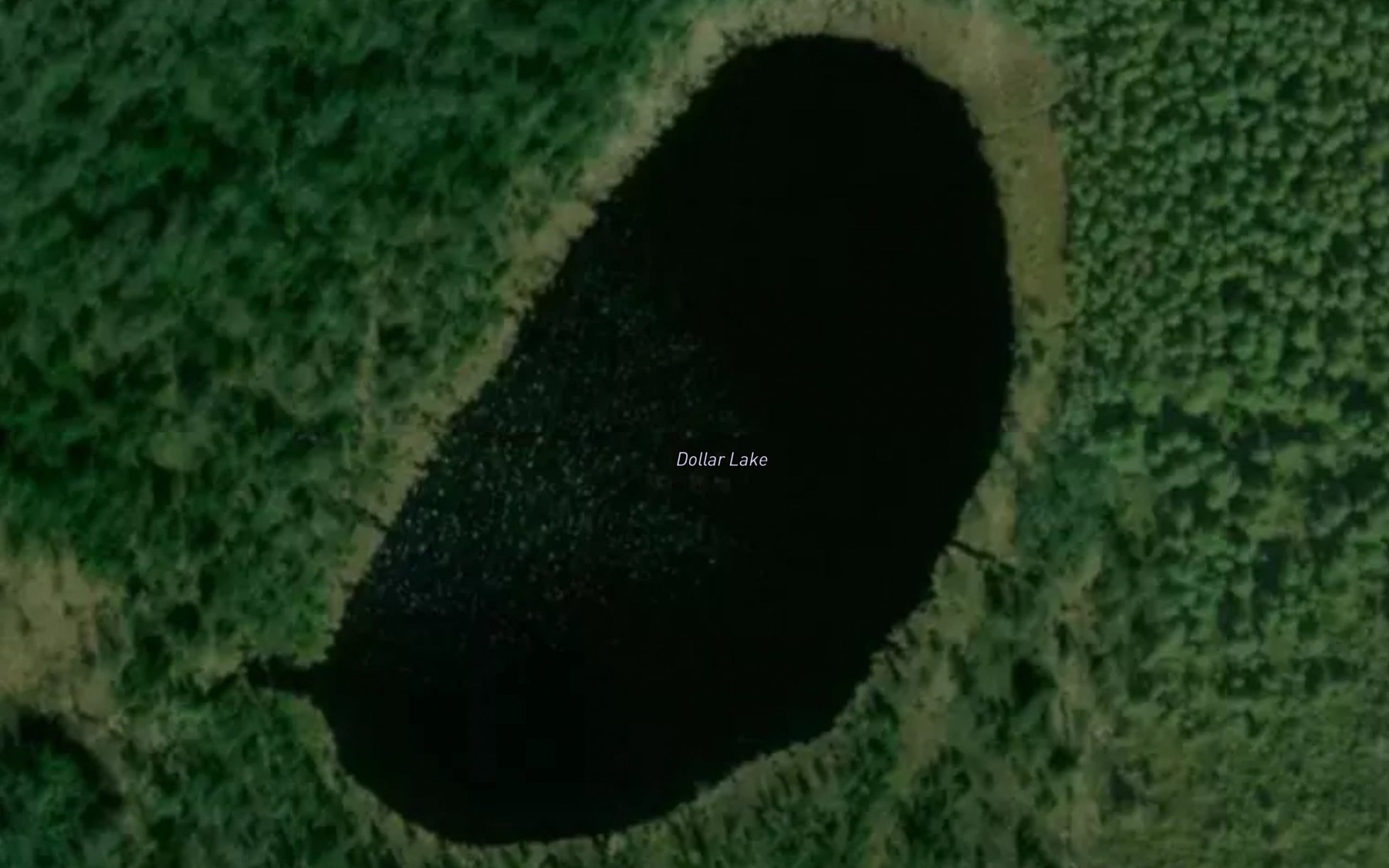 Satellite map of the Dollar Lake