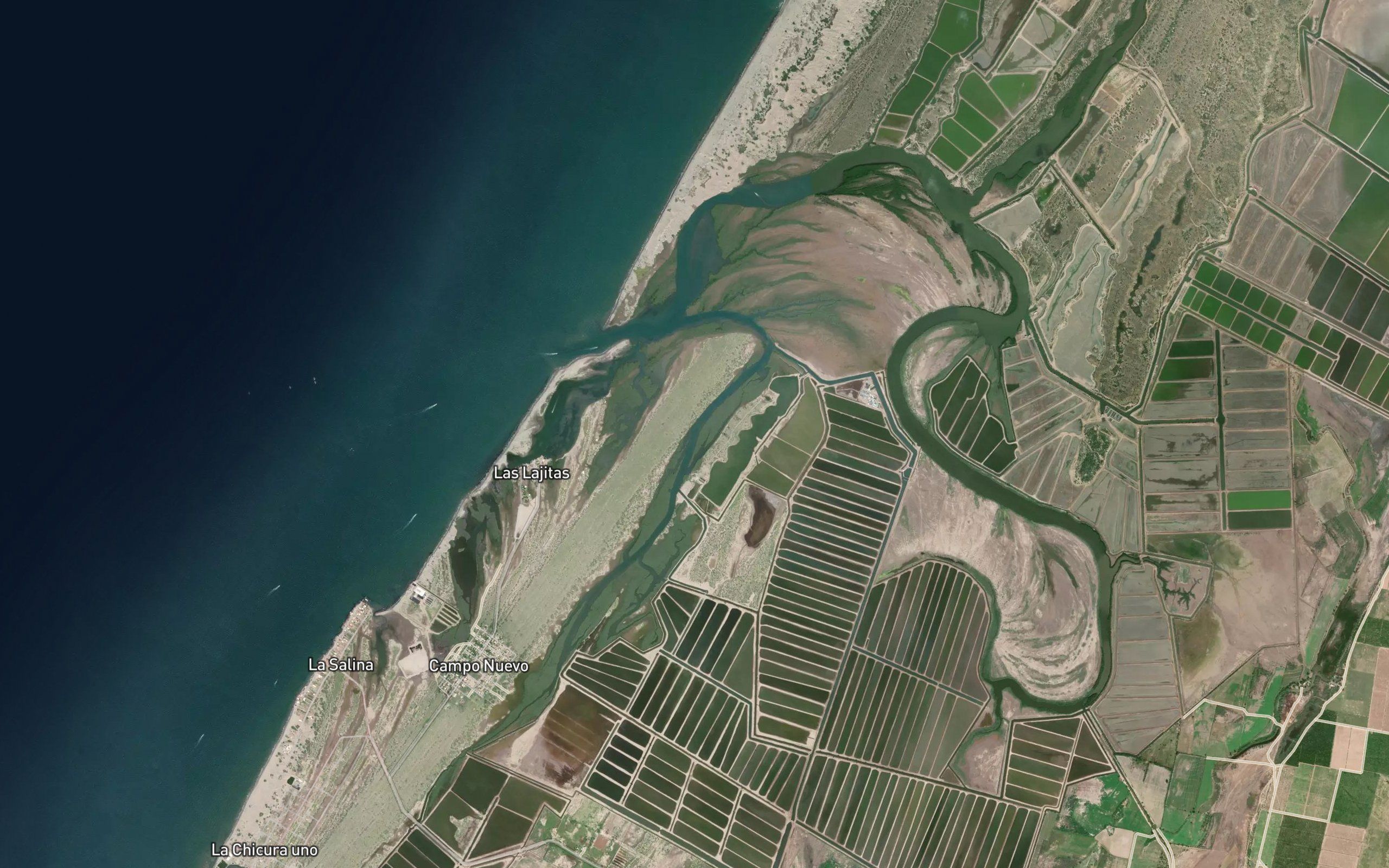 Estero Manglon