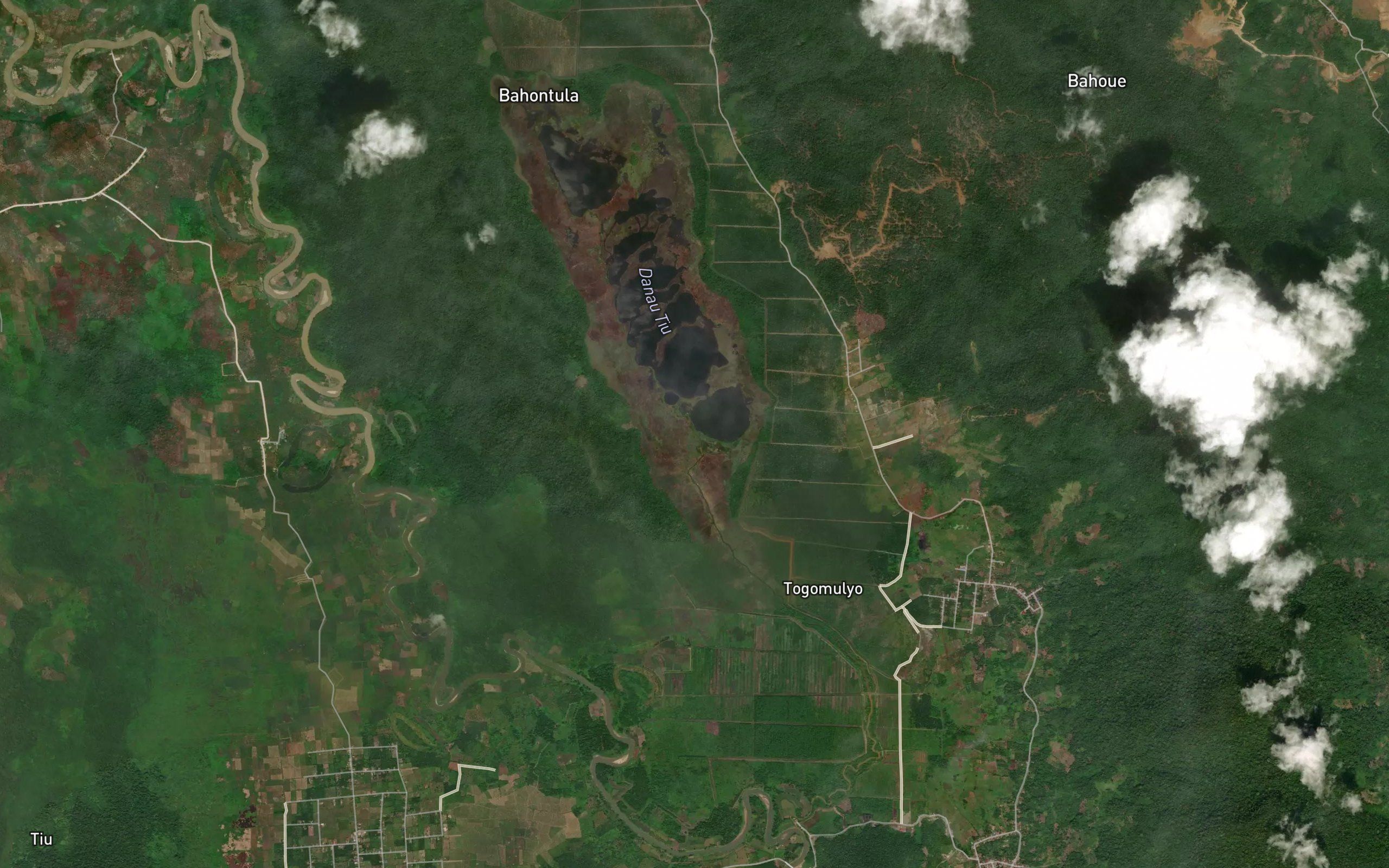 Koro Tiu