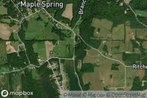 Maple Spring