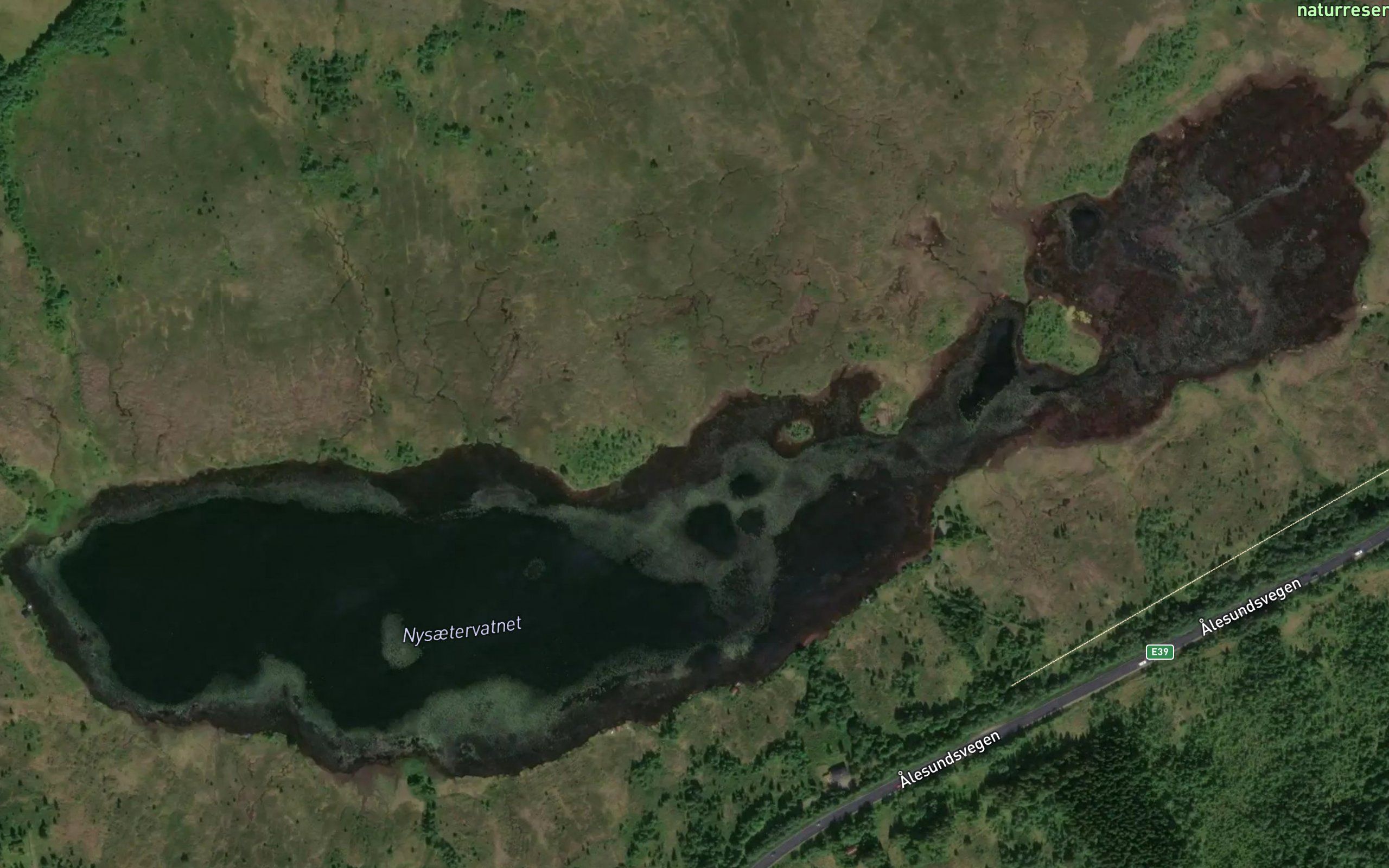 Svartevatnet