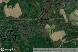 Robinson Mill Branch