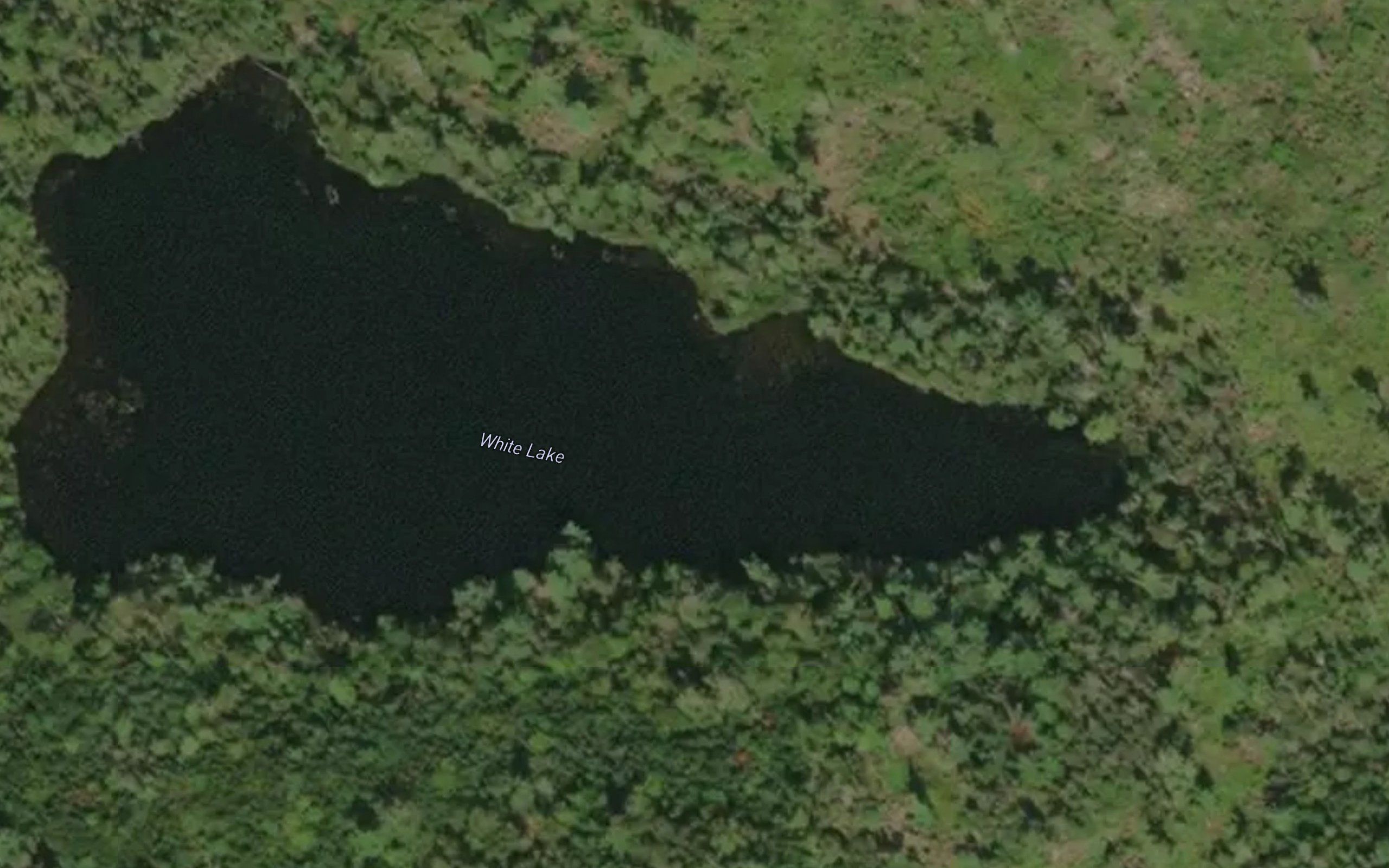White Lake