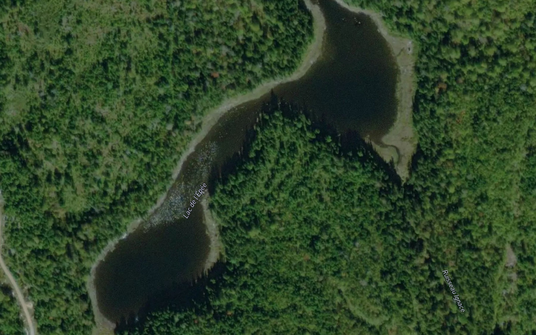 Satellite map of the Lac de l'Epee