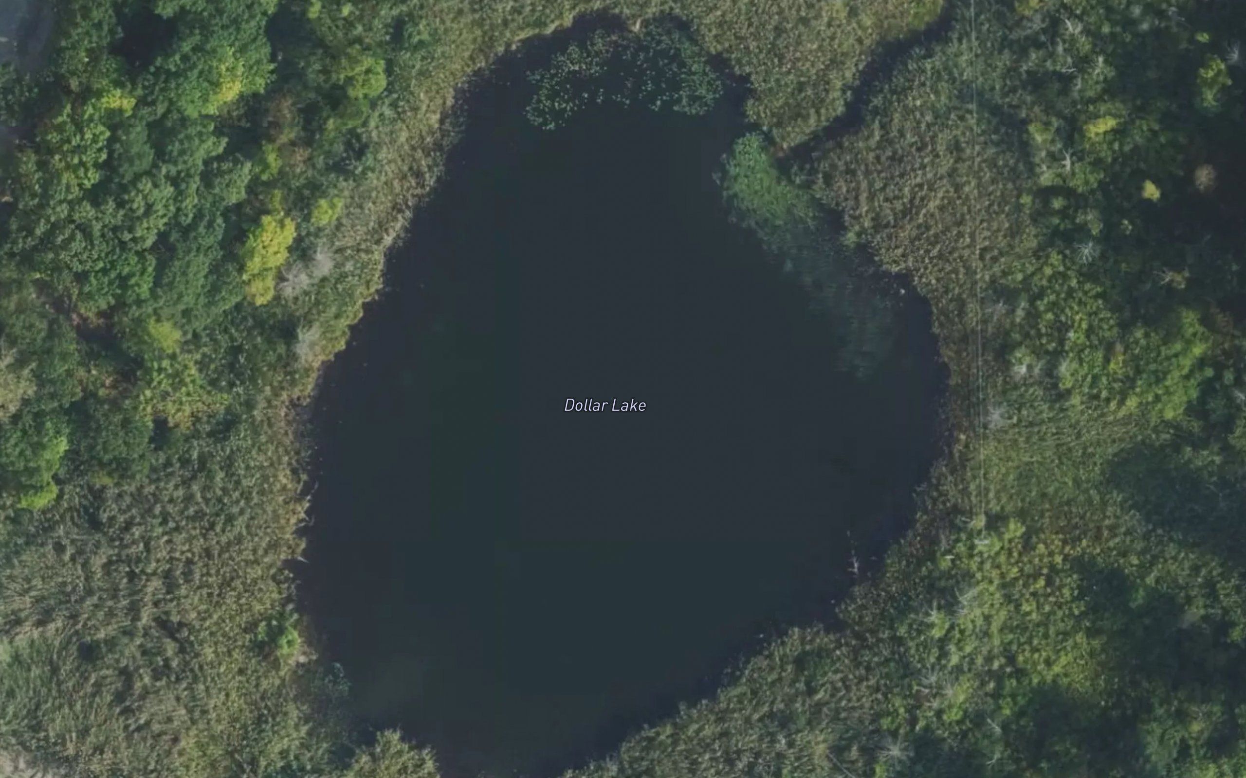 Dollar Lake