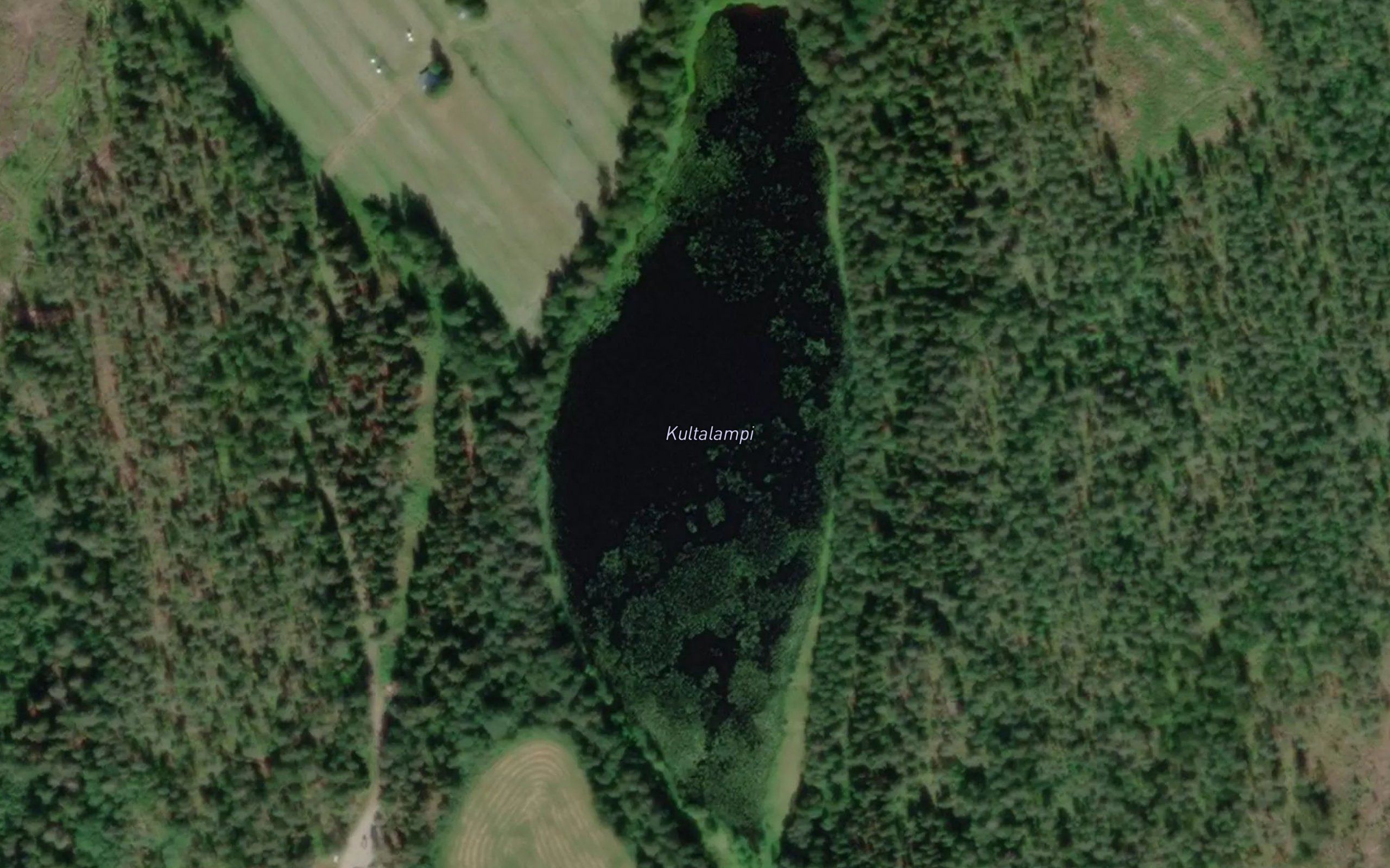 Kultalampi