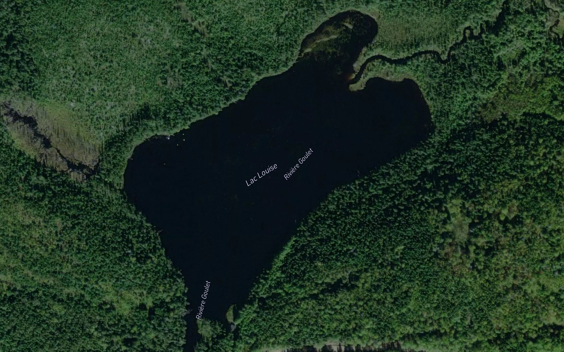Satellite map of the Lac Louise