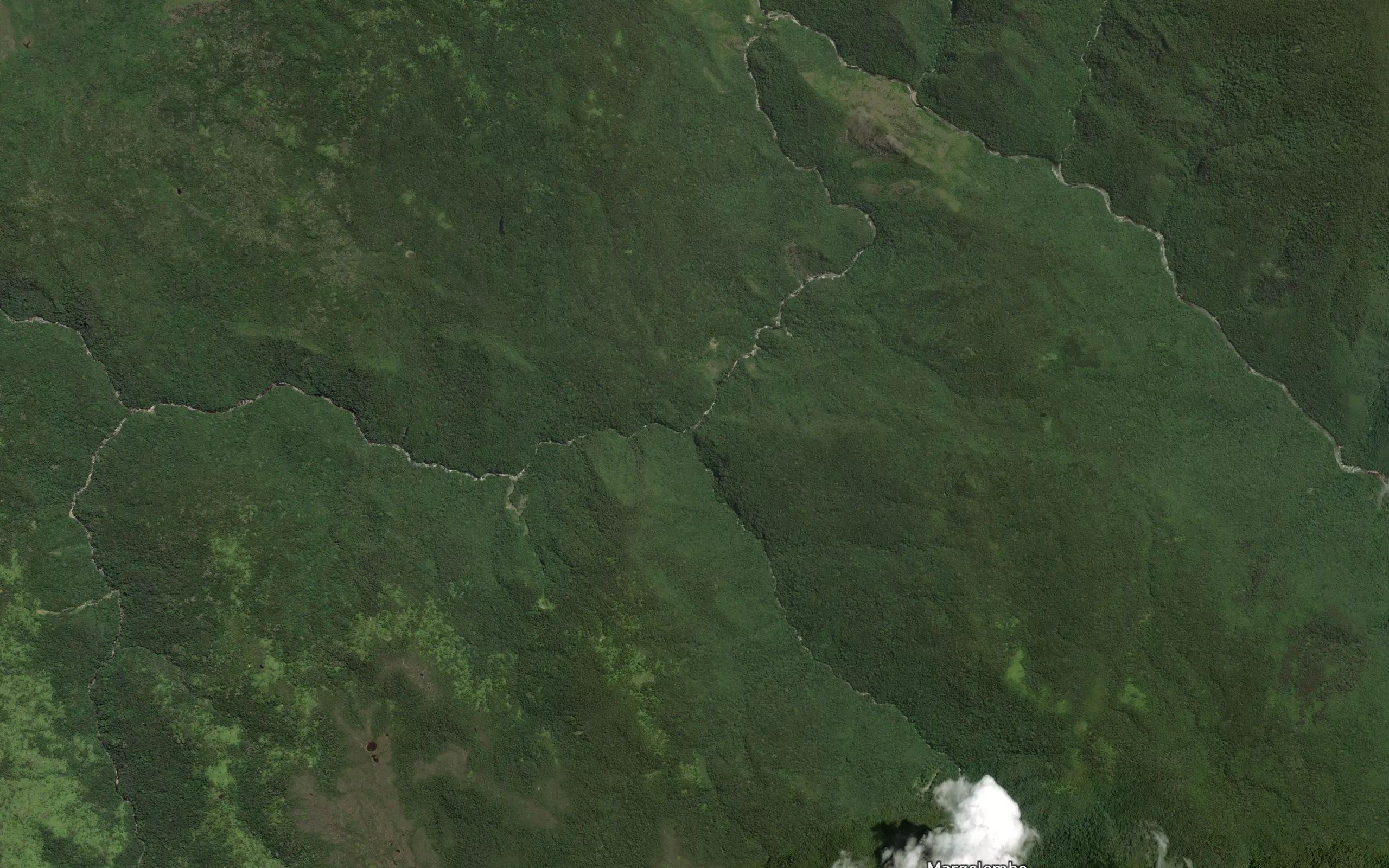 Koro Salumaoge
