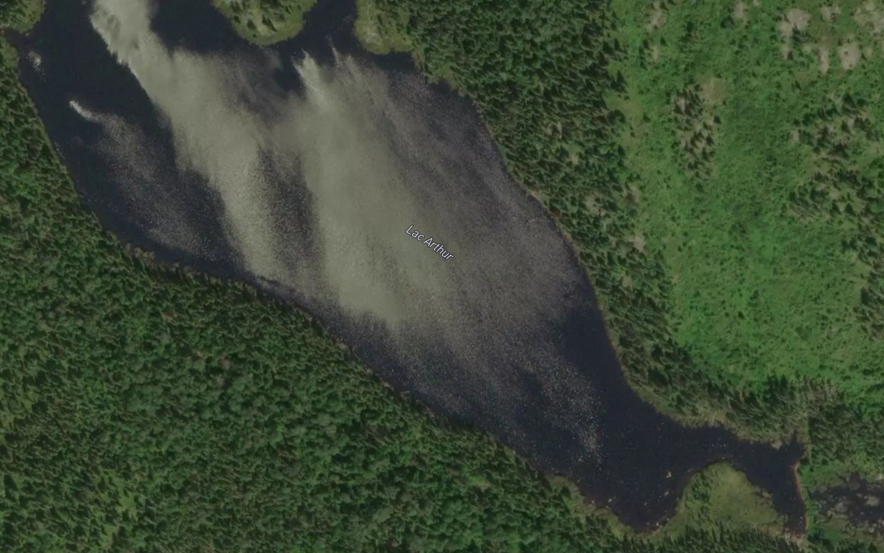 Satellite map of the Lac Arthur