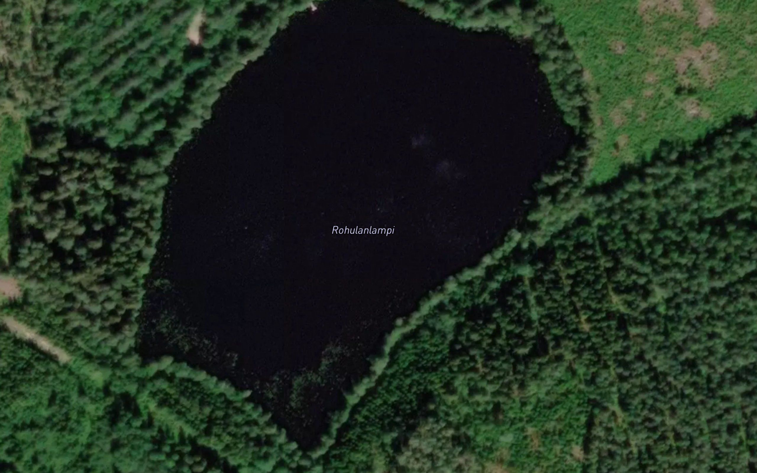 Rohulanlampi