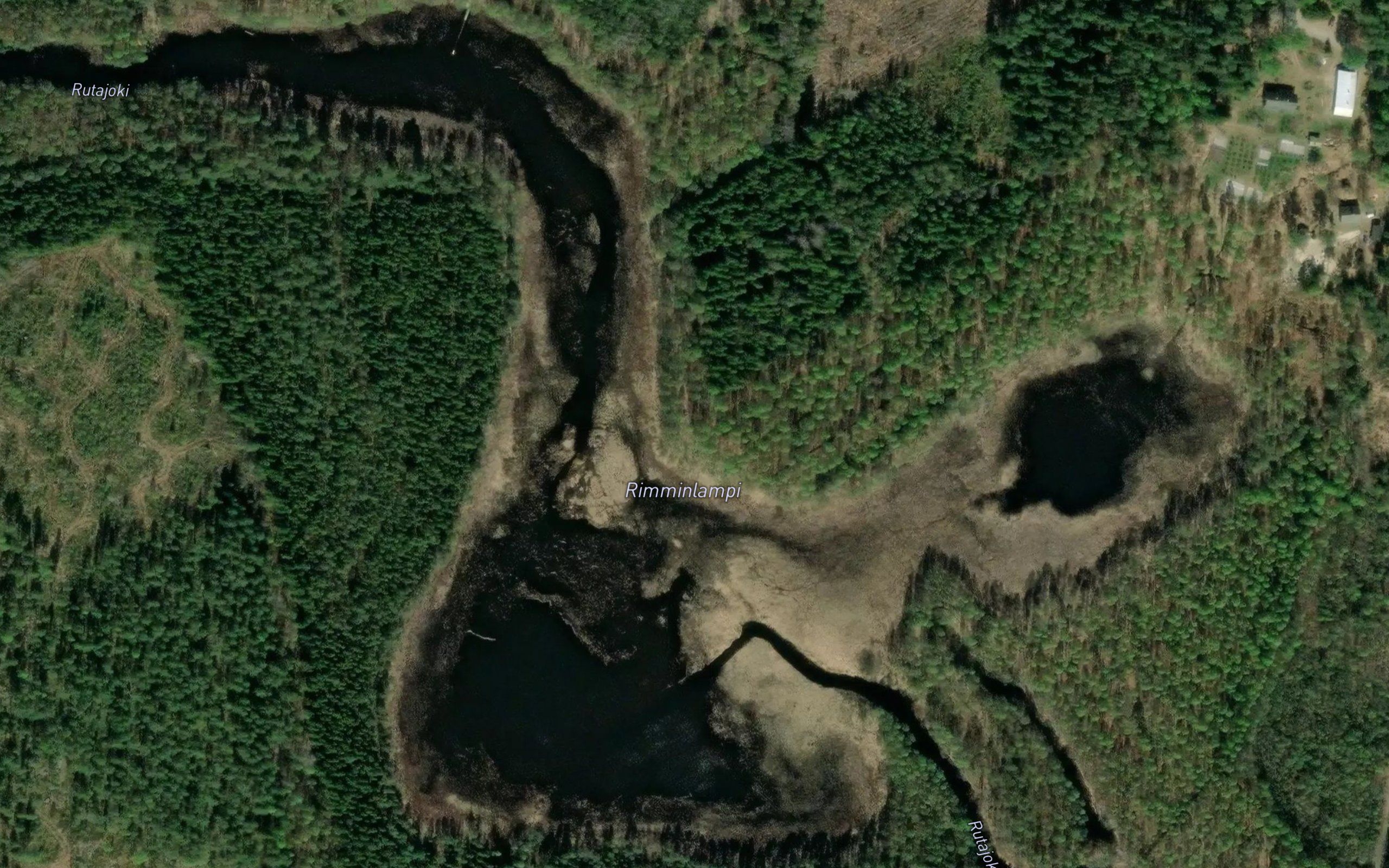 Rimminlampi