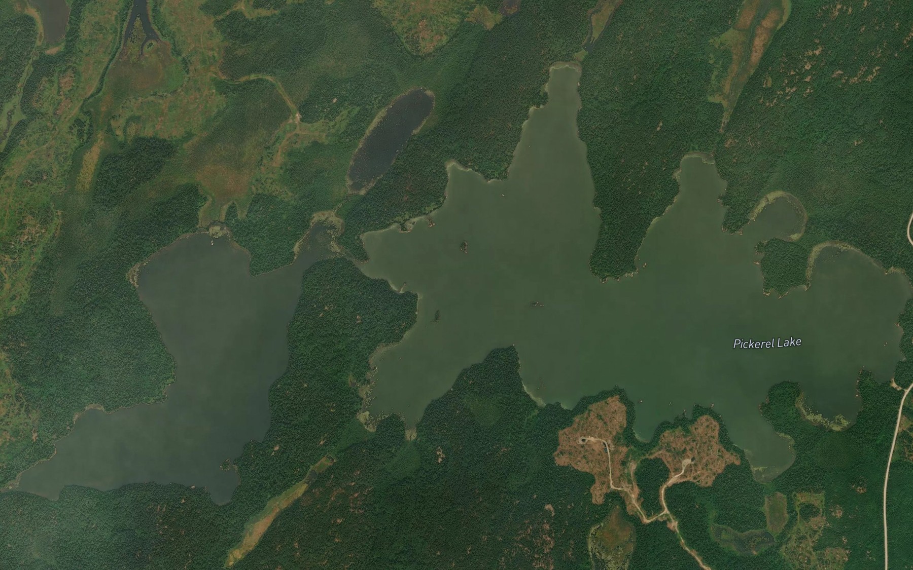 Satellite map of the Pickerel Lake