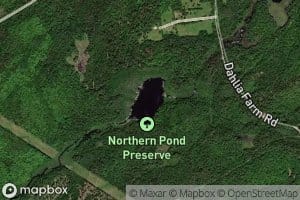Northern Pond