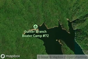 Gunter Branch
