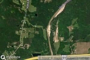Maxwell Branch