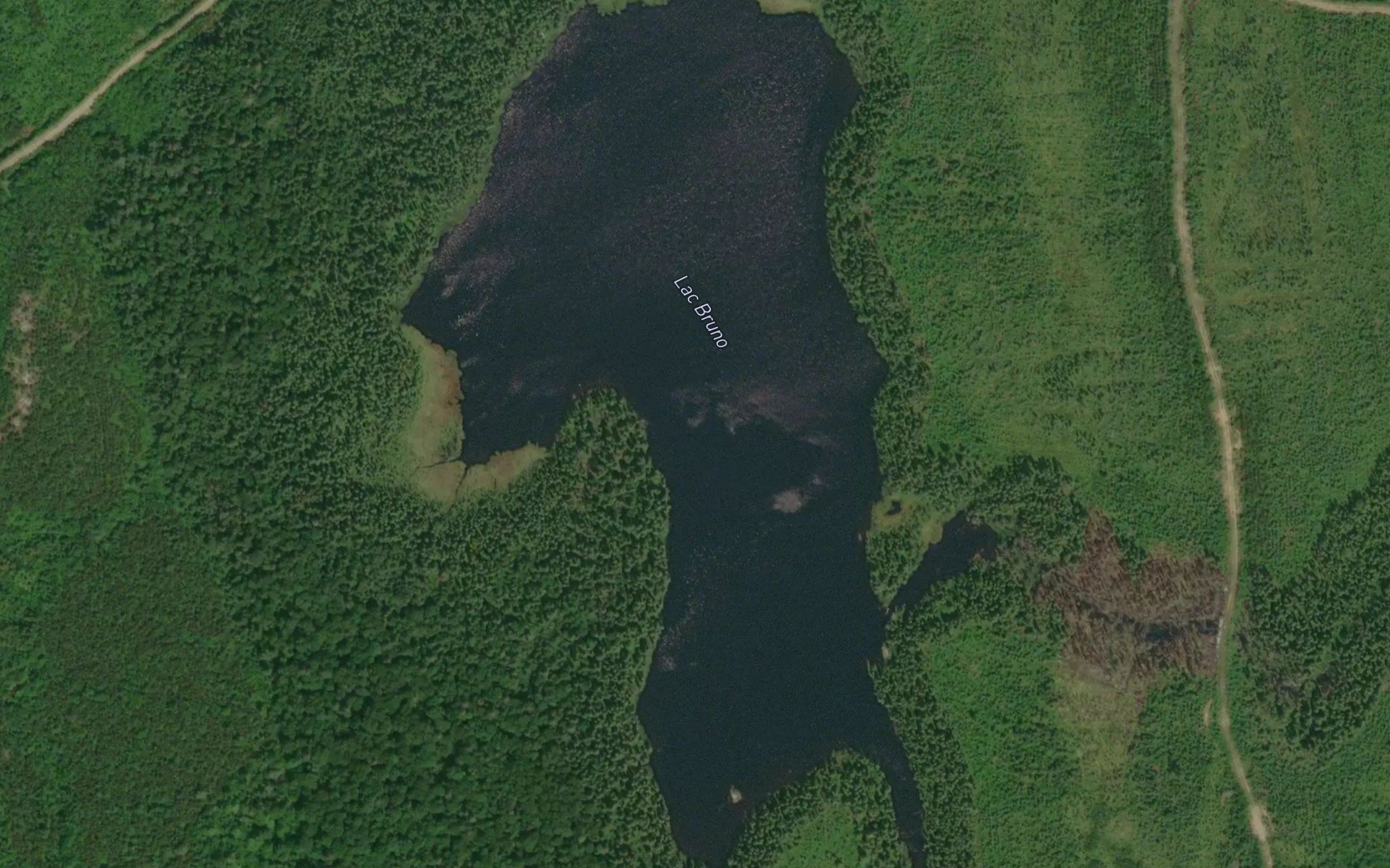 Lac Bruno