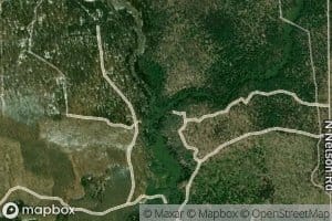 South Branch Twin Creek