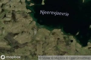 Nierijaure