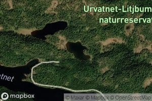 Litl-Bratthustjonna