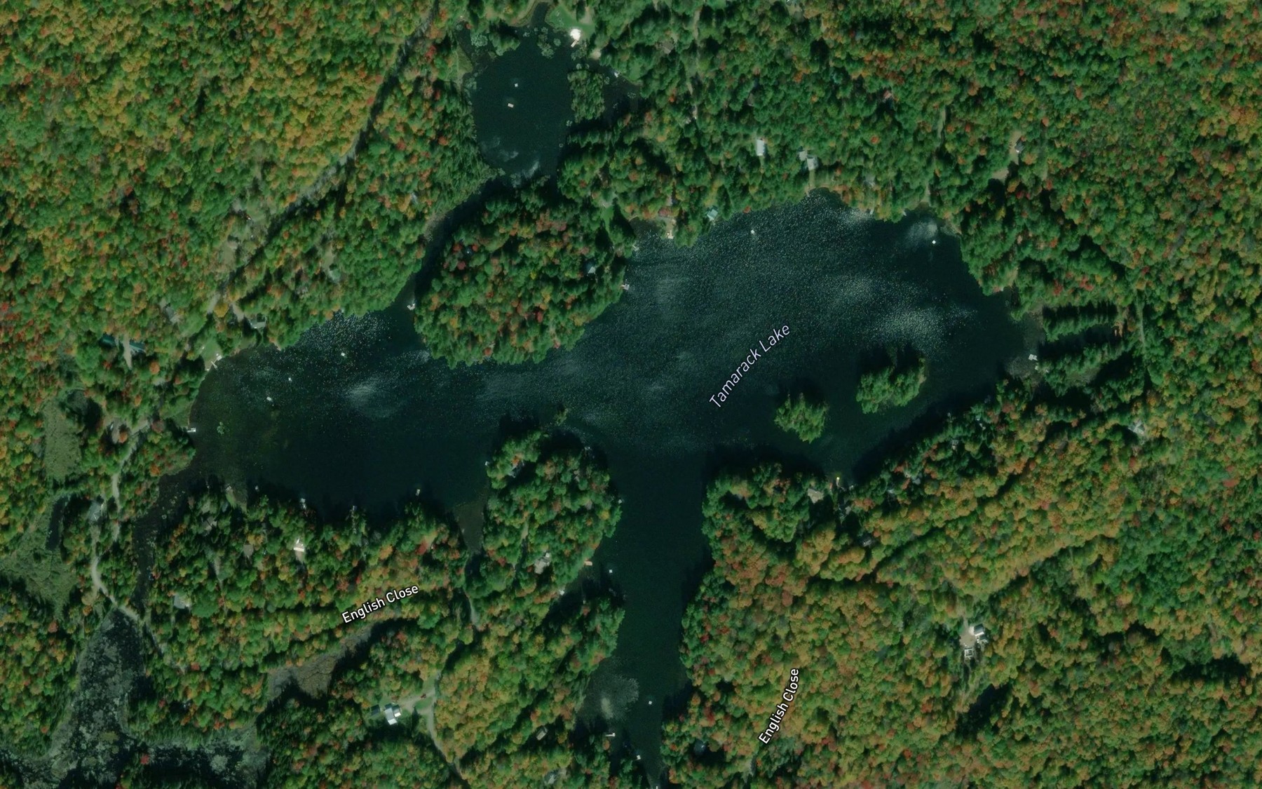 Satellite map of the Tamarack Lake