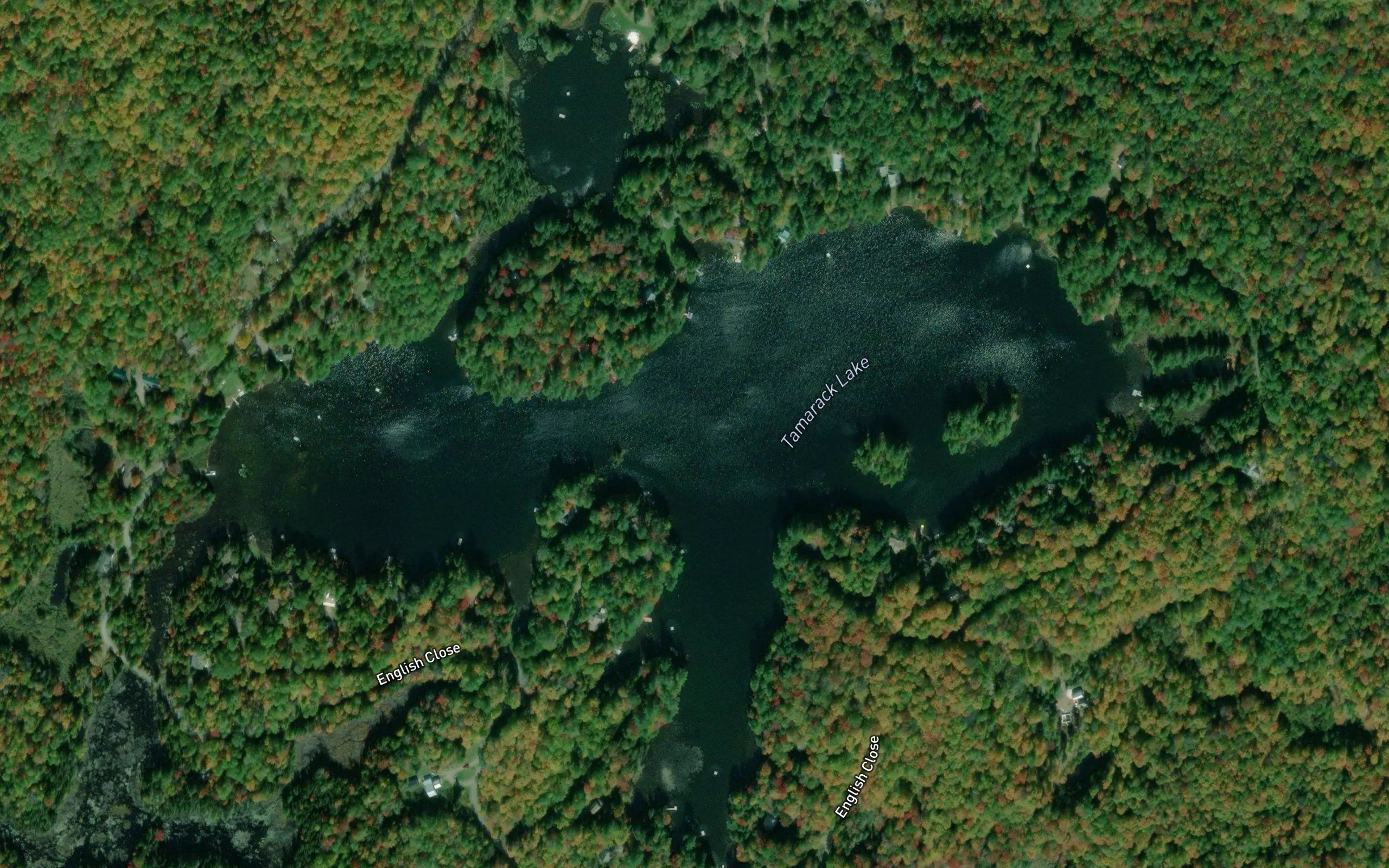 Tamarack Lake