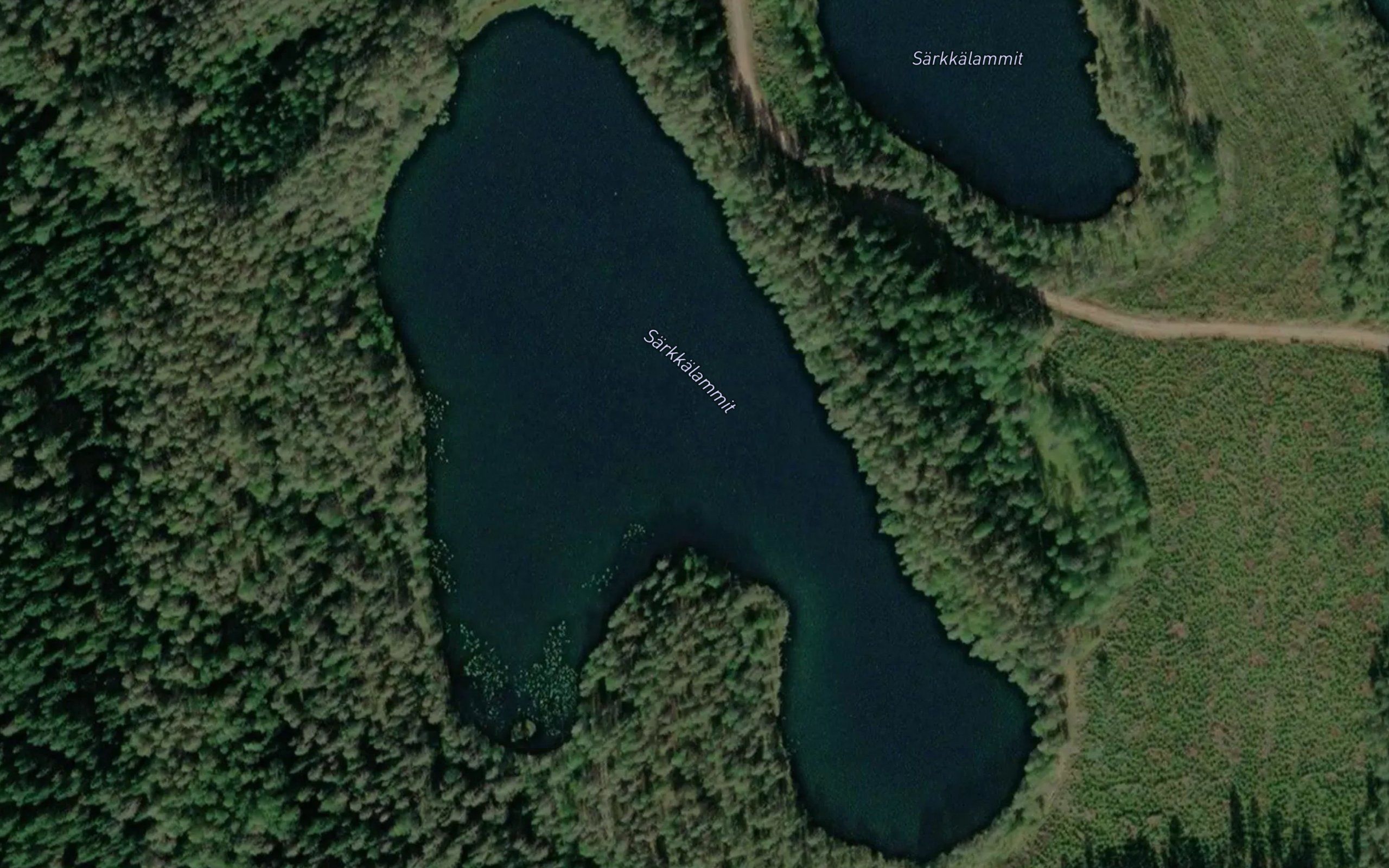 Sarkkalammit