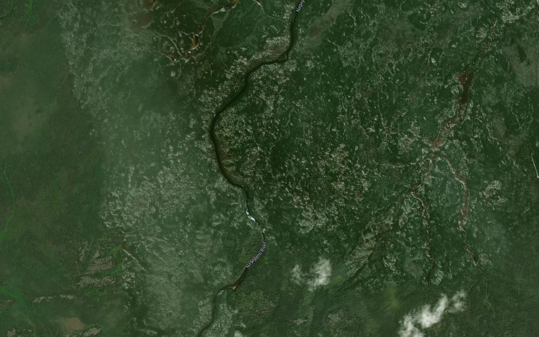 Satellite map of the Dirty Bush Rapids