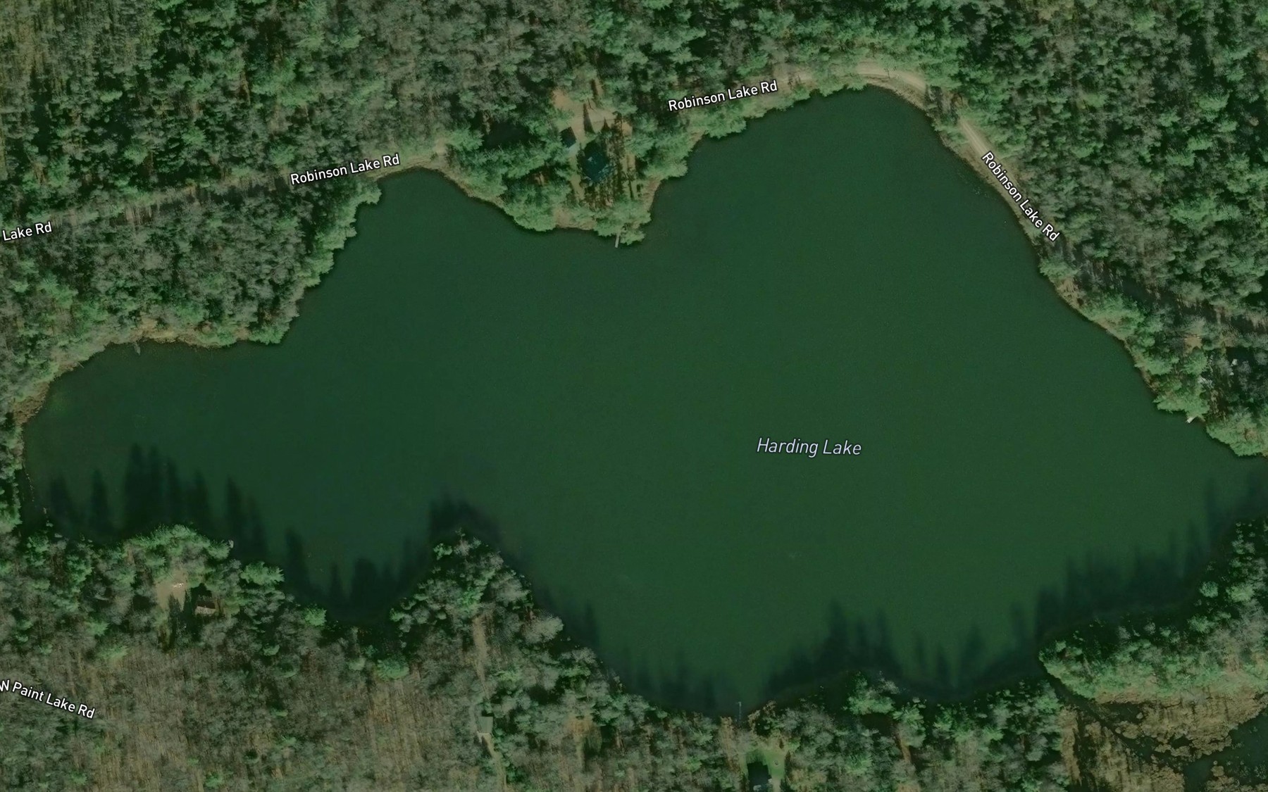 Satellite map of the Harding Lake