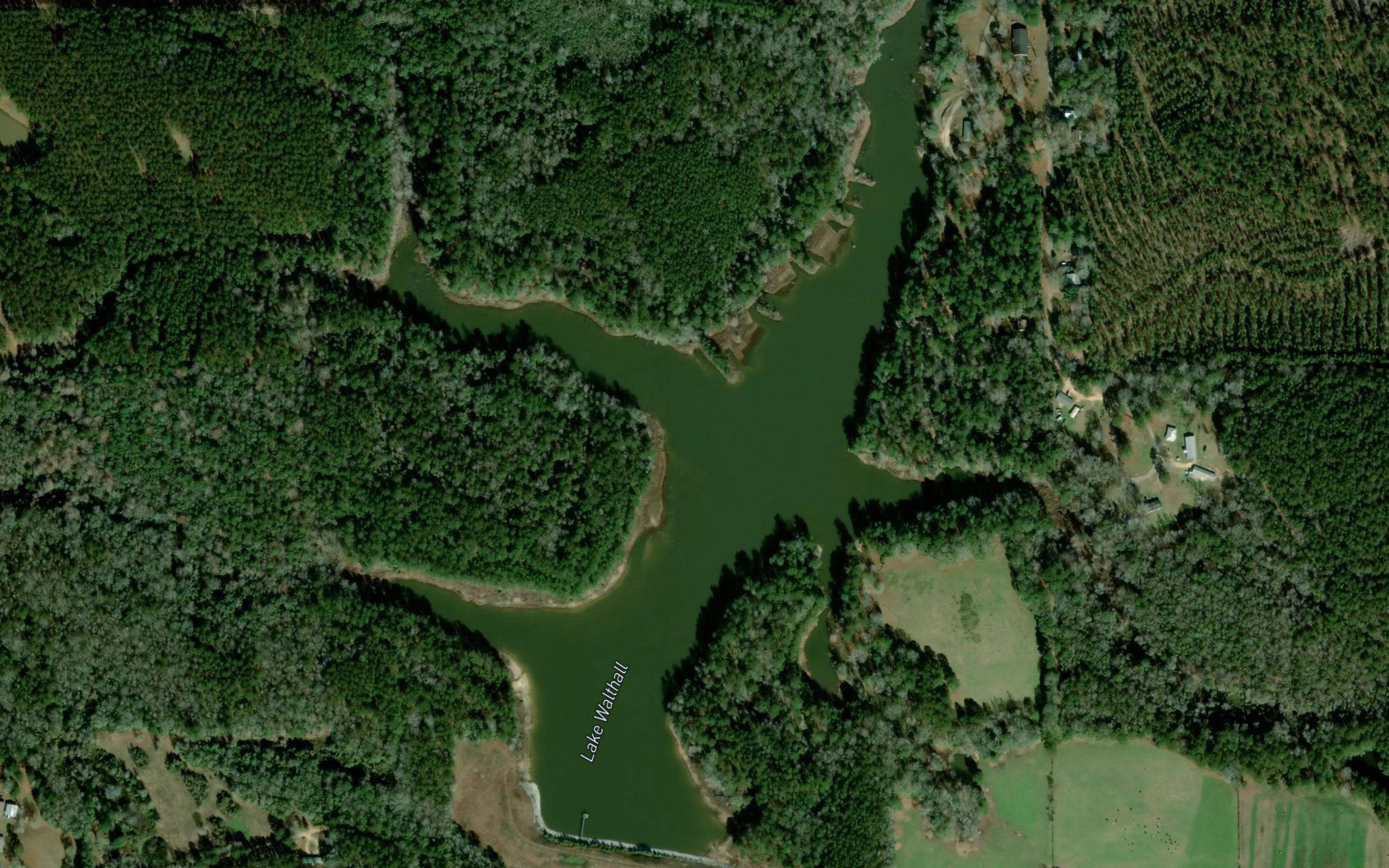 Lake Walthall