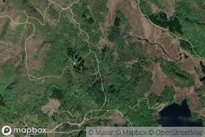 Dalselva