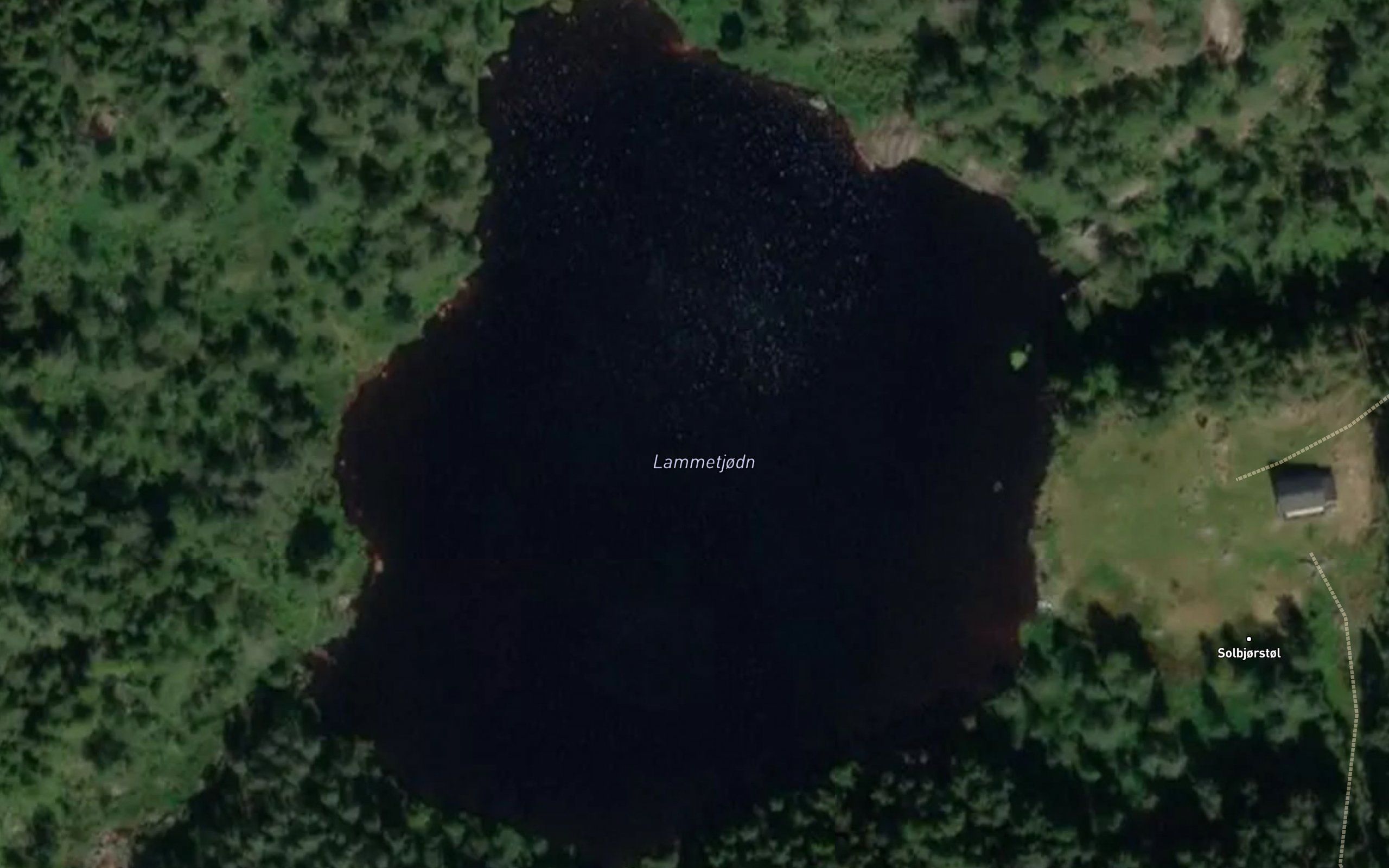 Lammetjodn