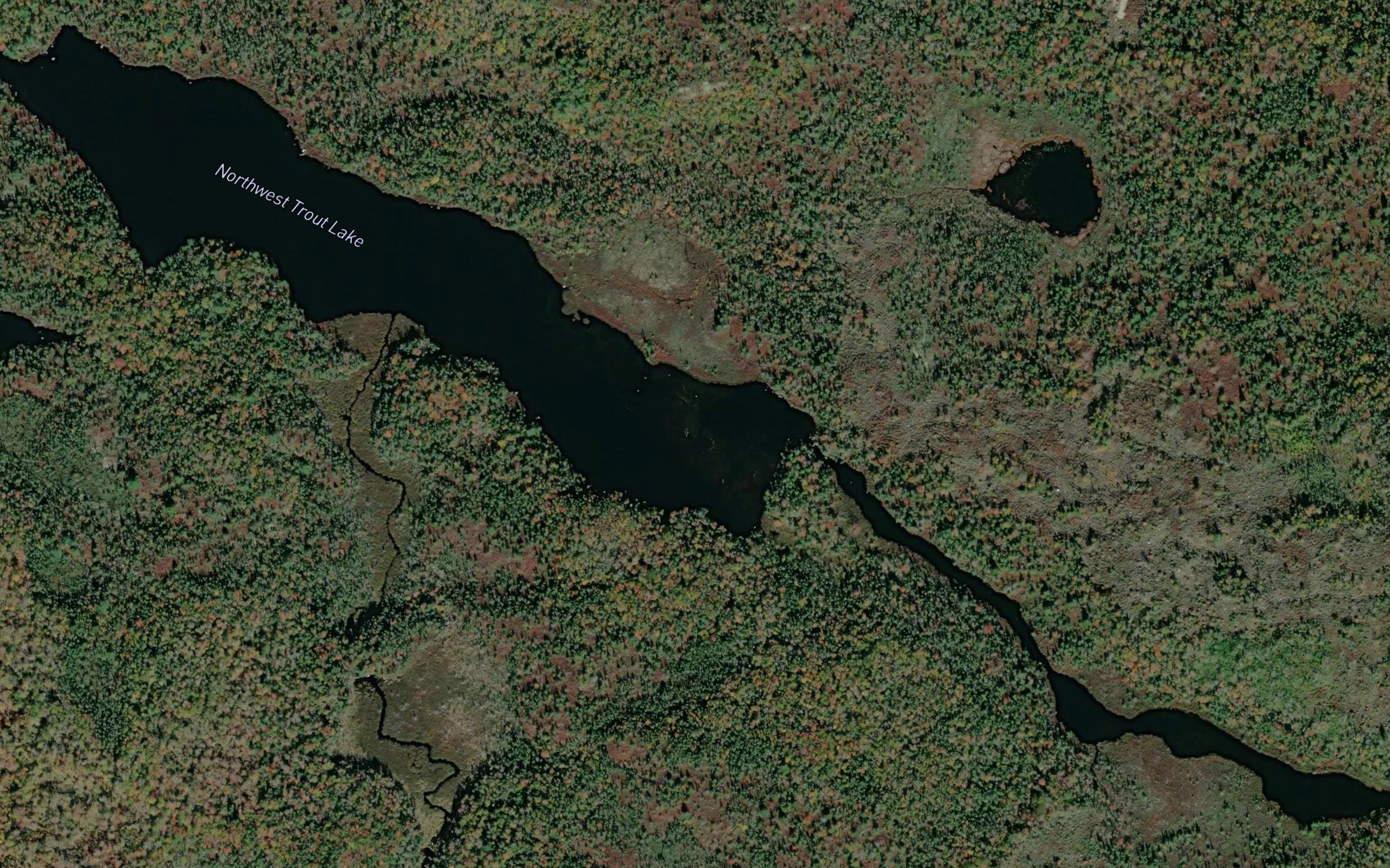Northwest Trout Lake