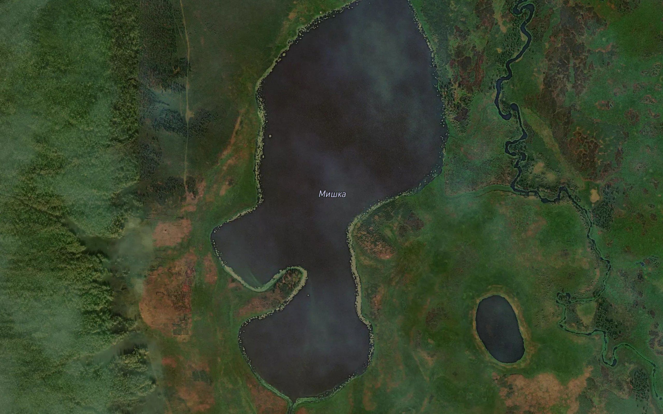 Ozero Mishka