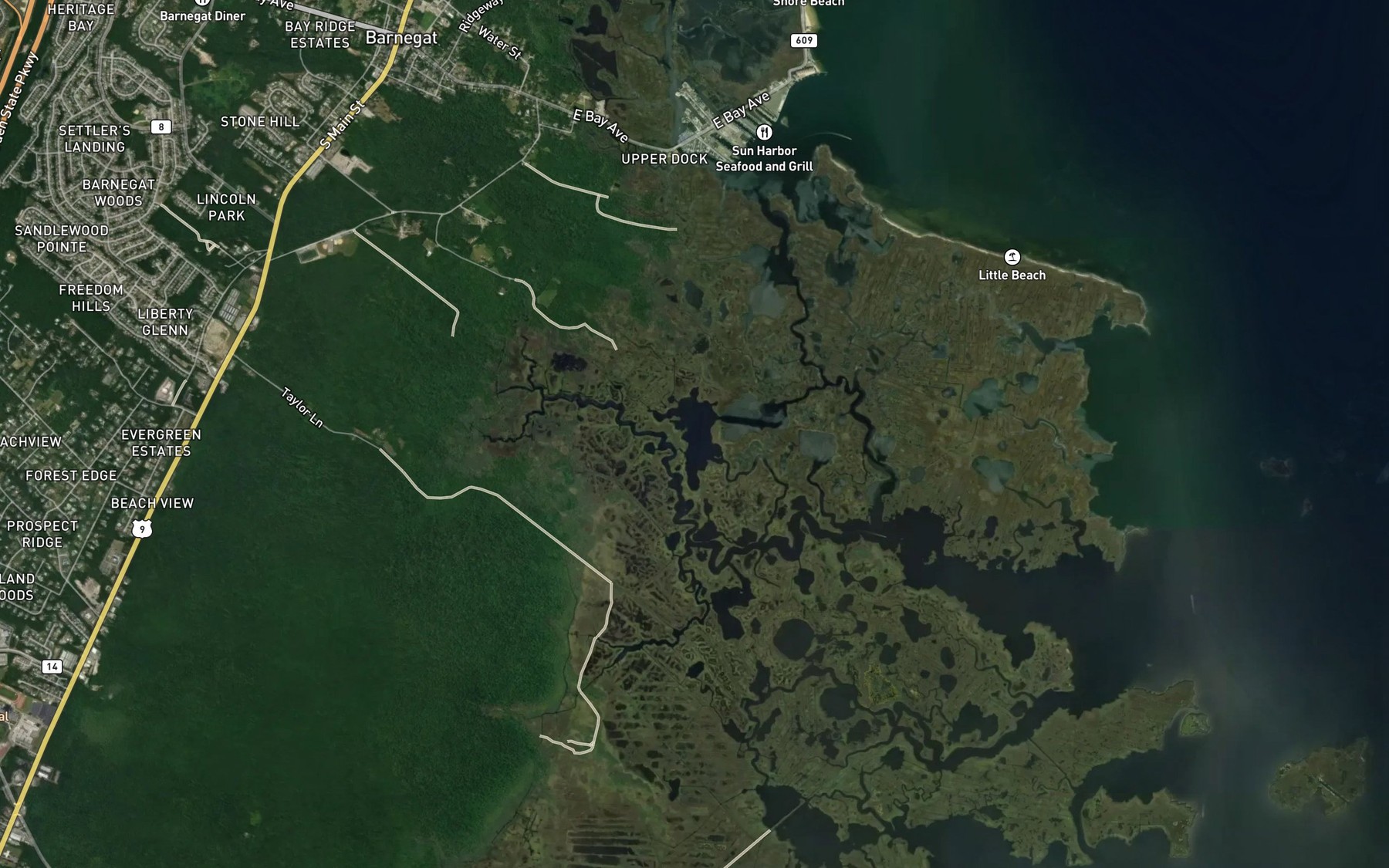 Satellite map of the Collins Lower Tide Pond
