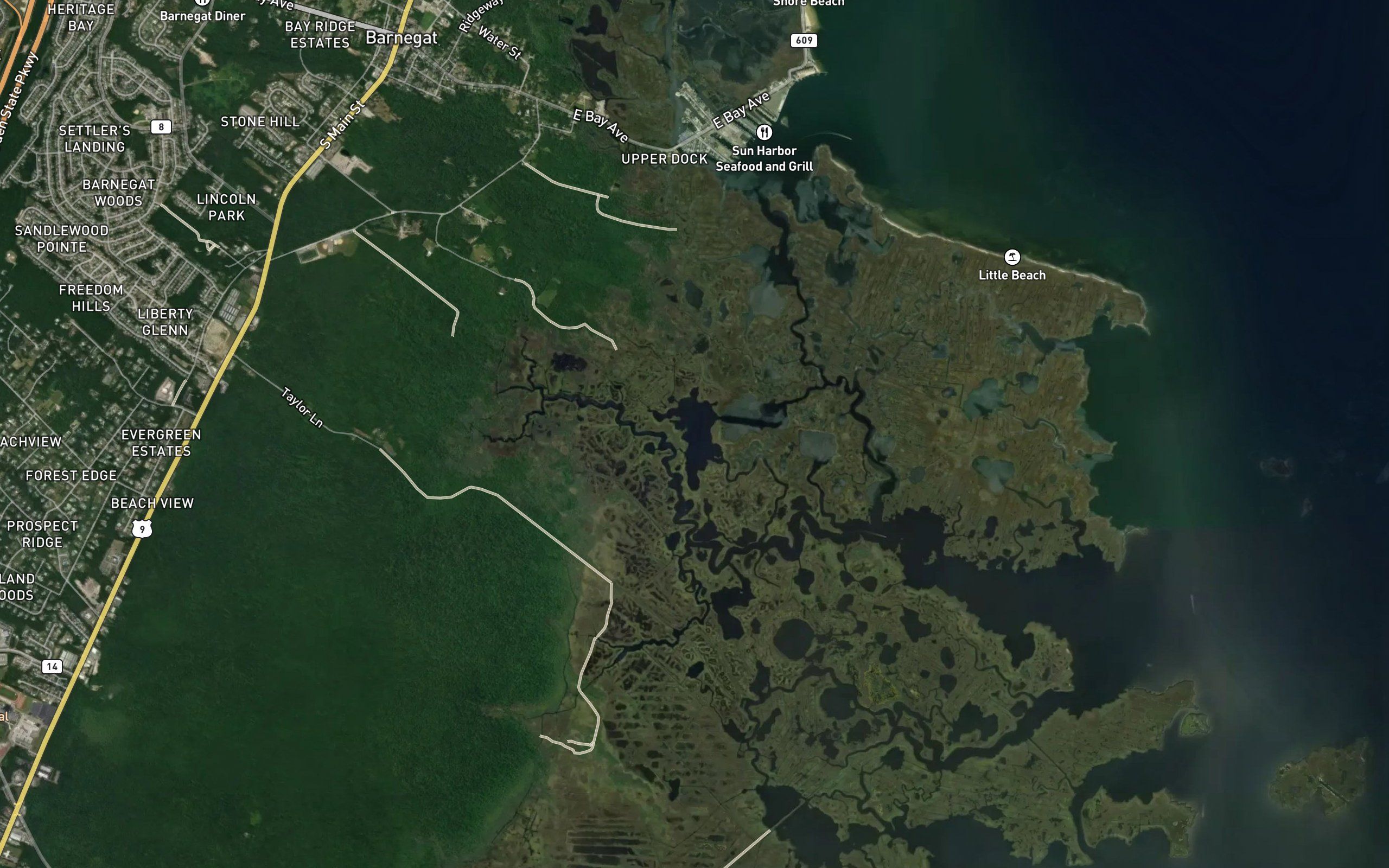Collins Lower Tide Pond