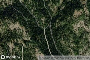Snow Fork Creek