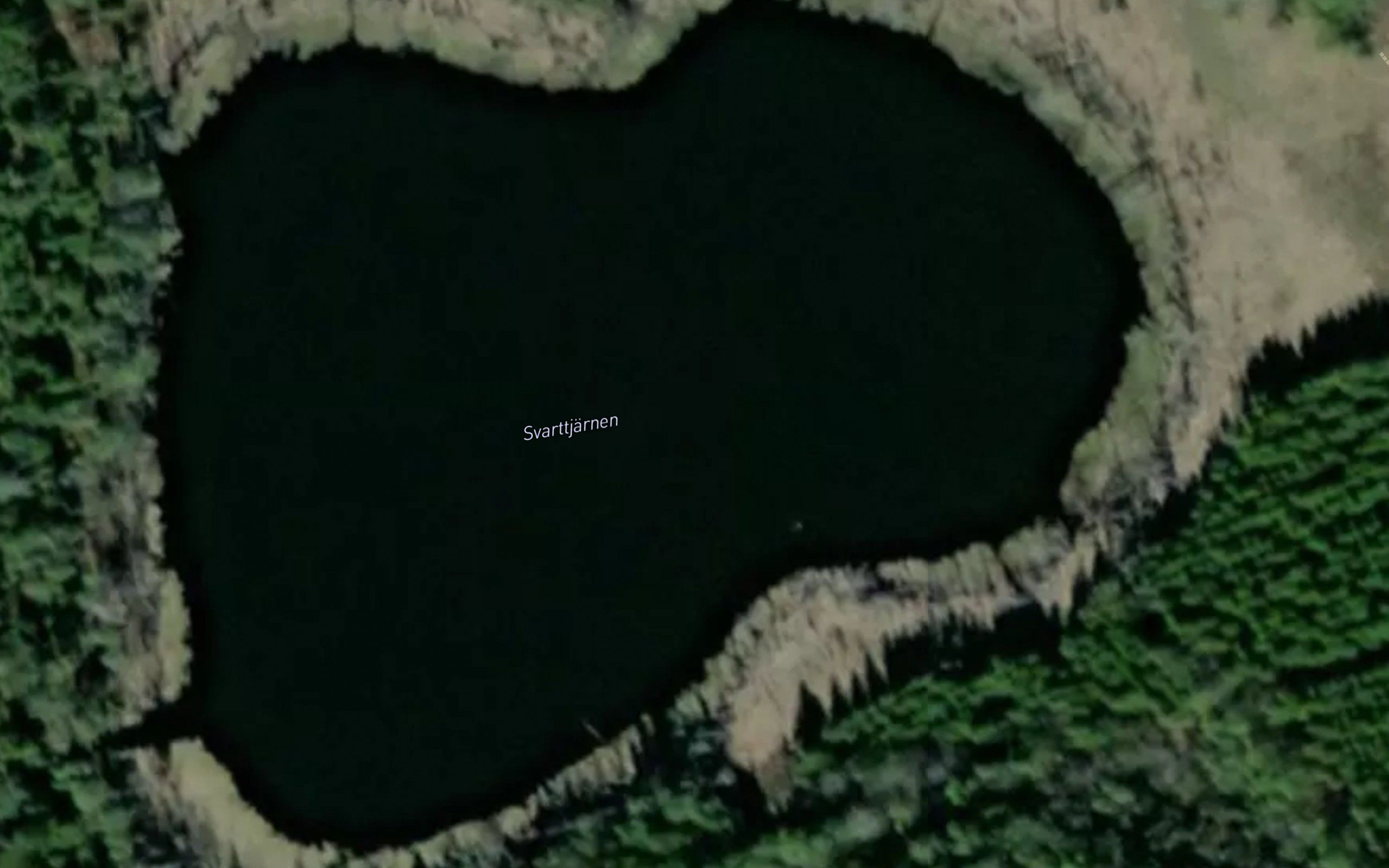 Svarttjaernen