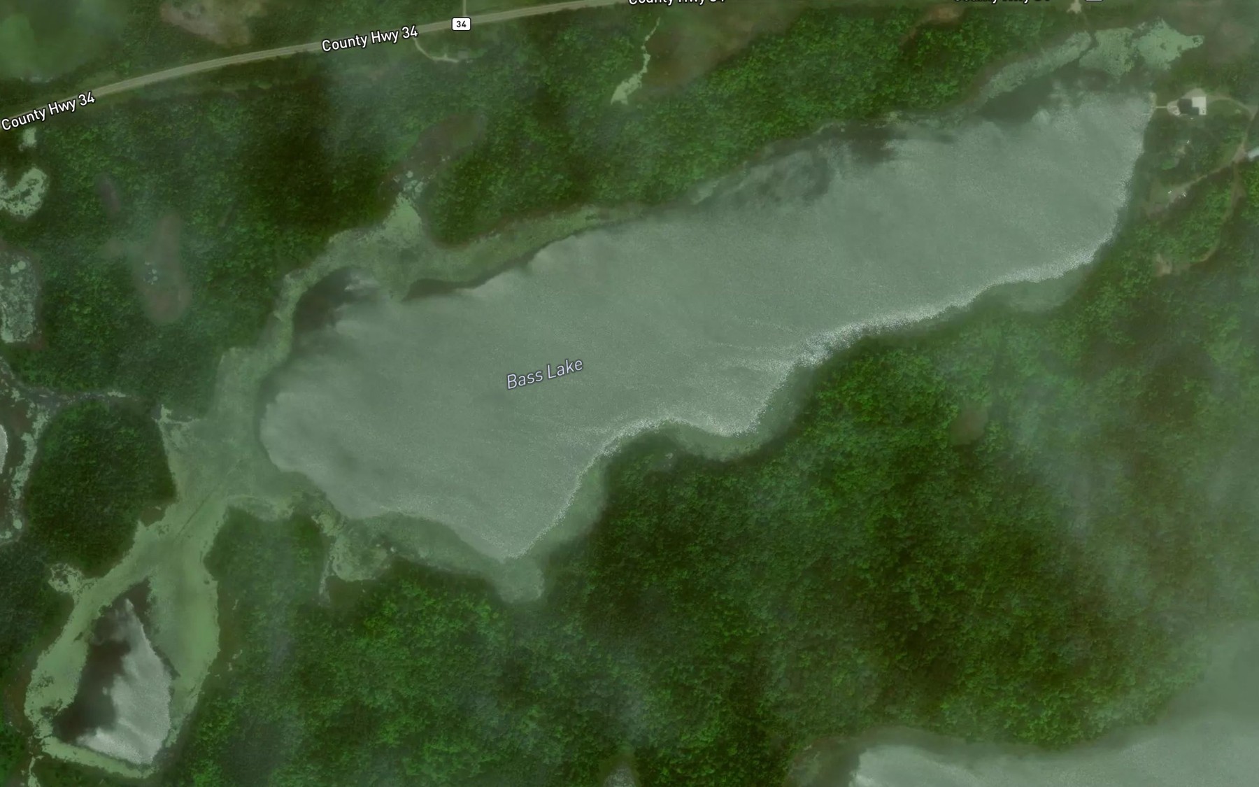 Satellite map of the Bass Lake
