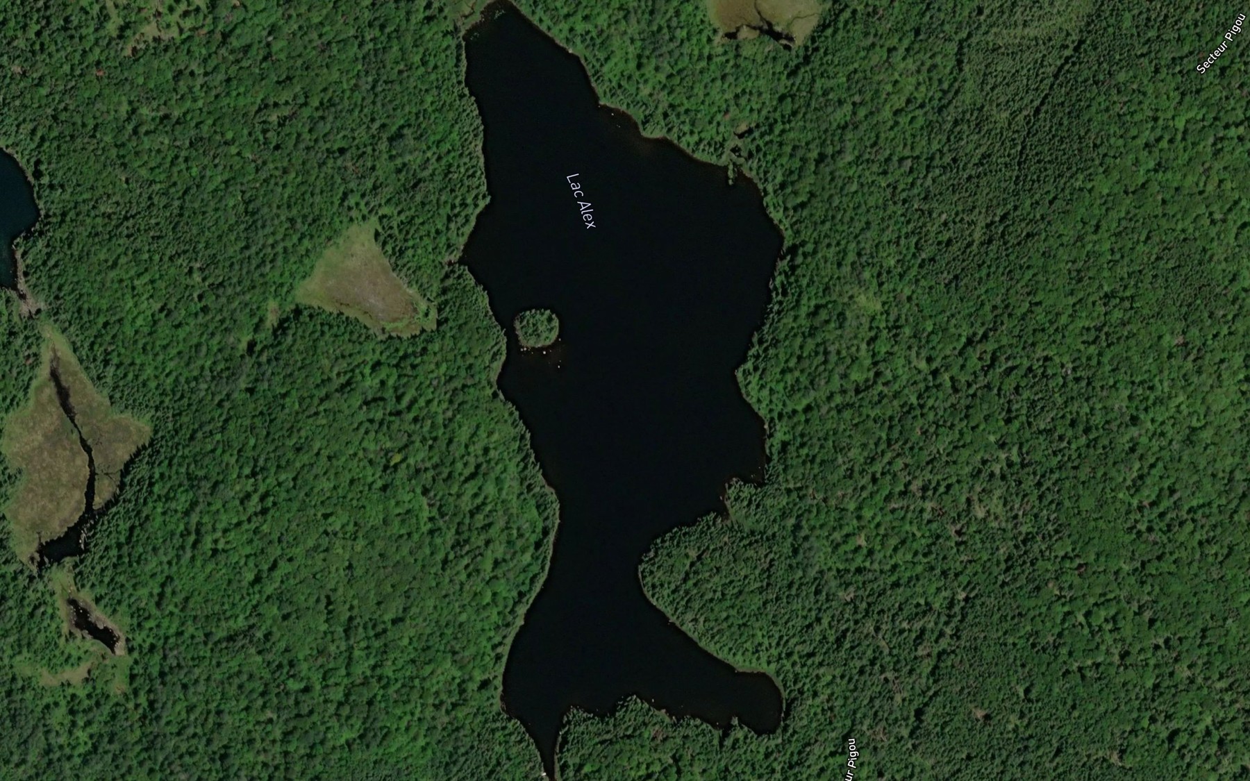 Satellite map of the Lac Alex