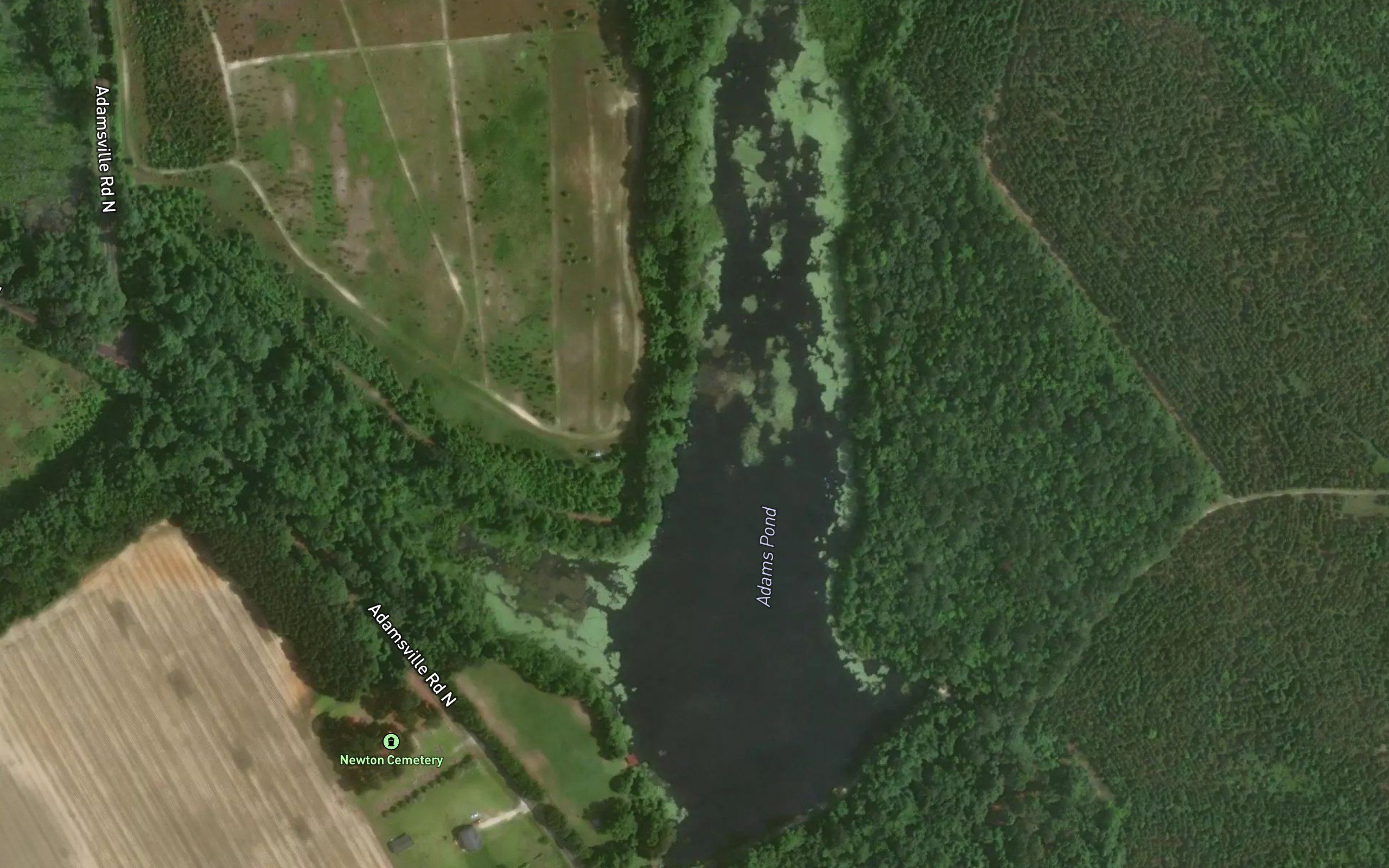 Adams Pond